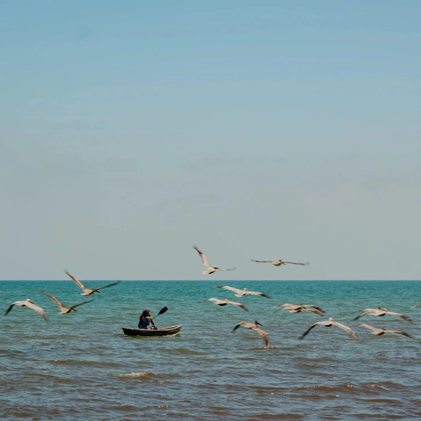 Suspended above the lush canopy, two women descend the Black Hole Drop Sinkhole, helmets and harnesses catching the light.