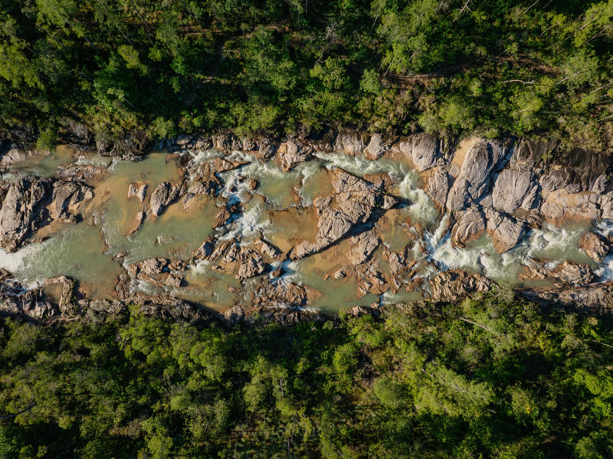 Filled with anticipation, a woman braces herself at the edge of the Black Hole Drop Sinkhole, ready for the descent.