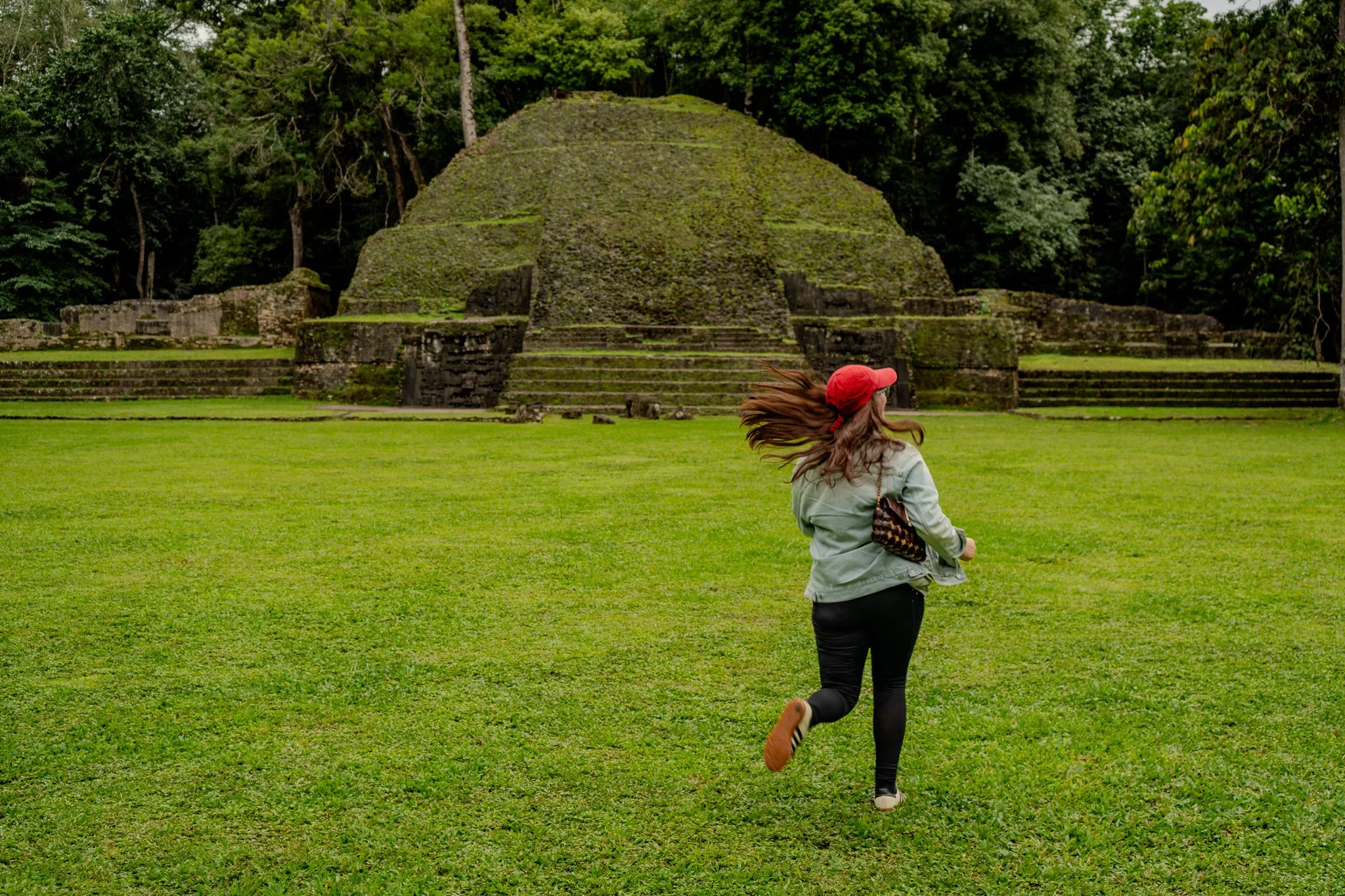 Lush green tropical rainforest with fog rolling over it and distant mountain ranges under a pink and purple sky.