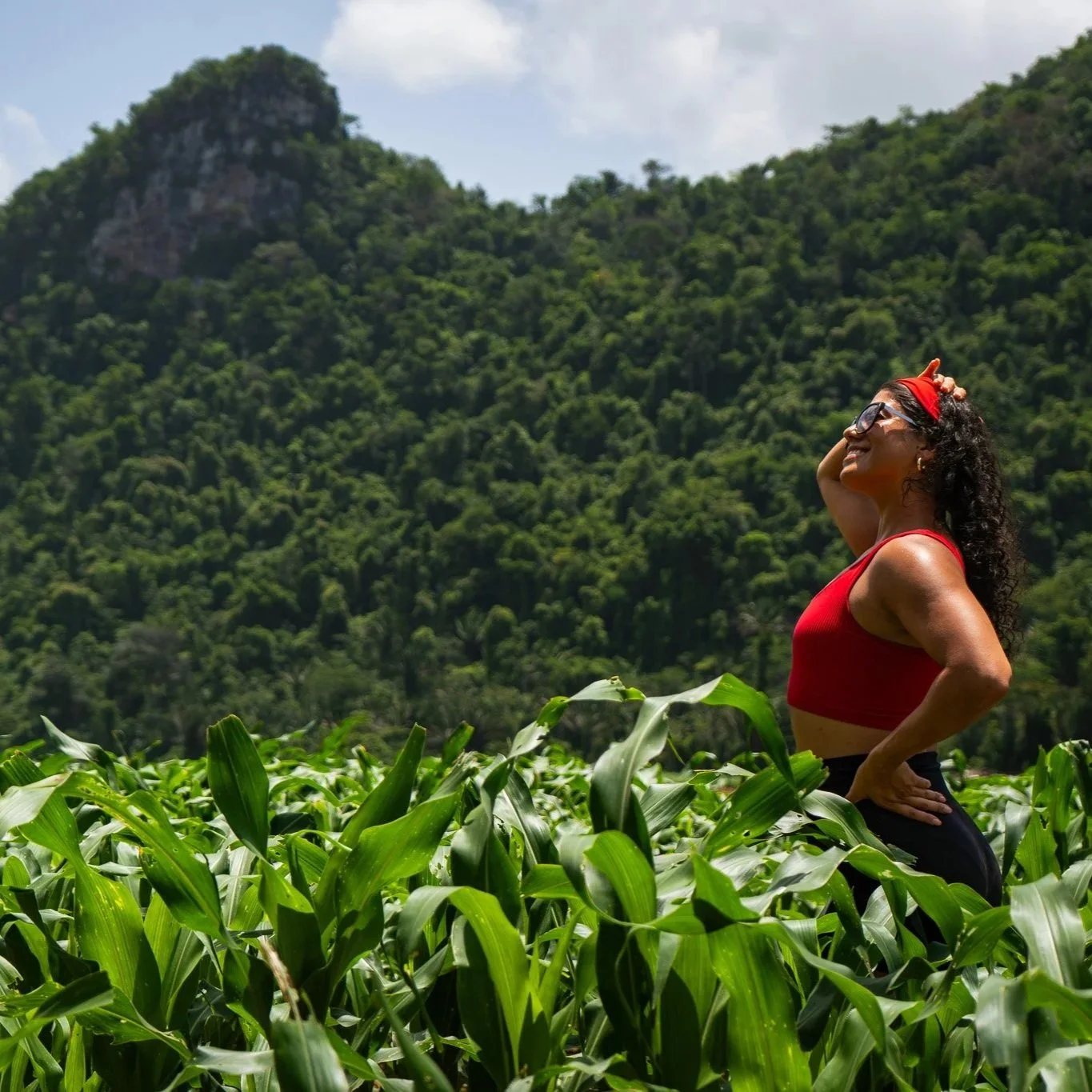 Amidst tall corn, a woman in red pauses, with rugged limestone faces of distant mountains rising behind her.