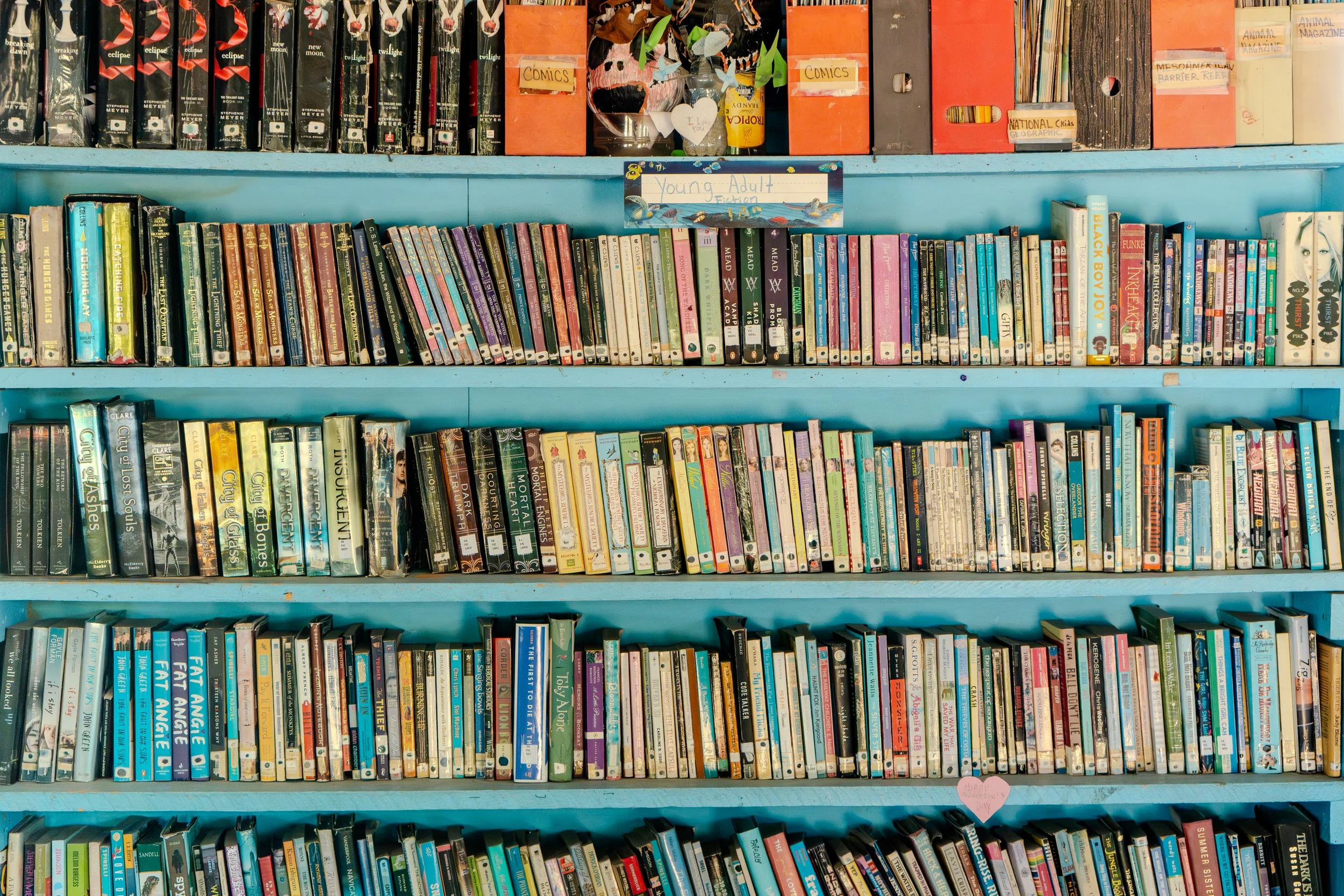 Lush green tropical rainforest with fog rolling over it and distant mountain ranges under a pink and purple sky.