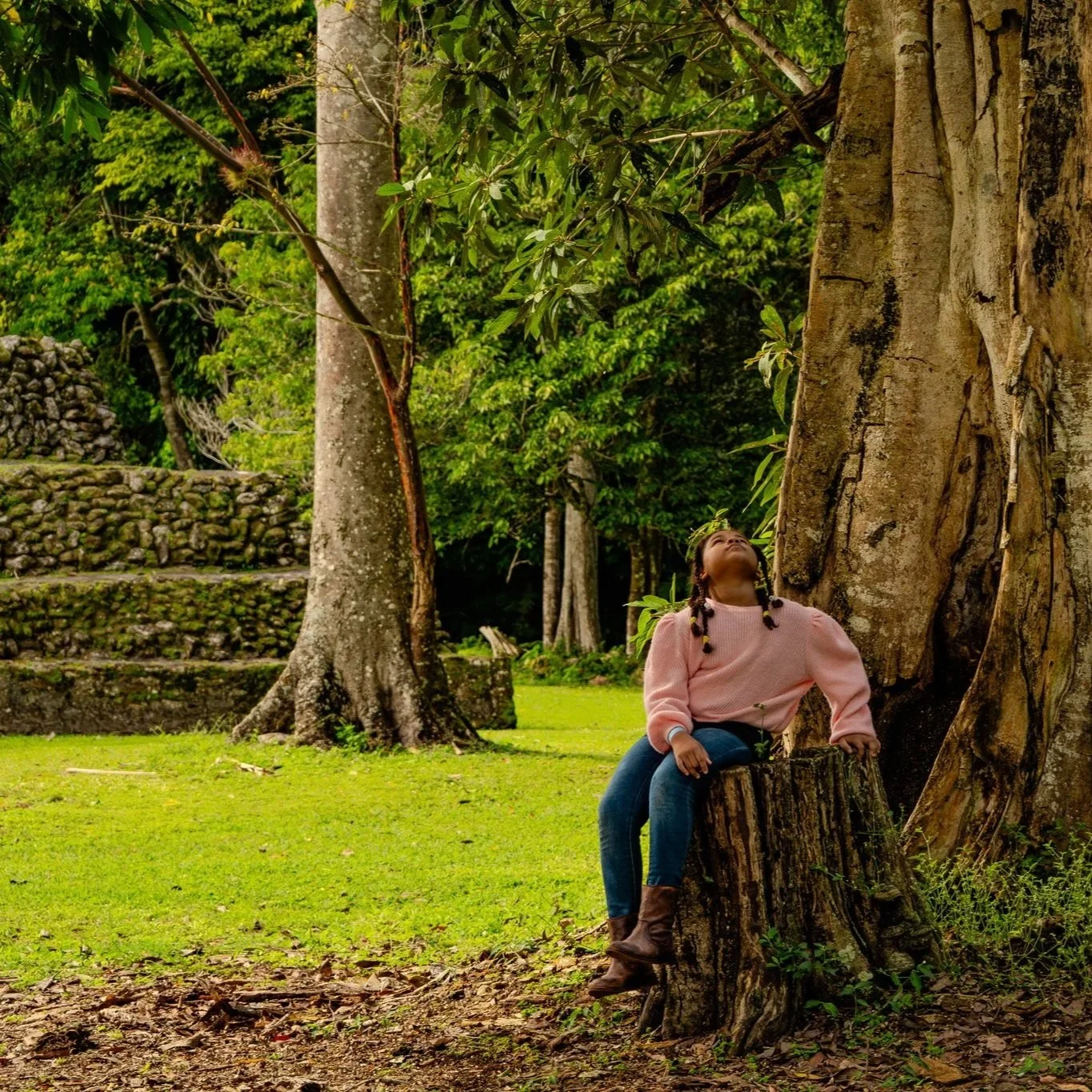 Amidst tall corn, a woman in red pauses, with rugged limestone faces of distant mountains rising behind her.