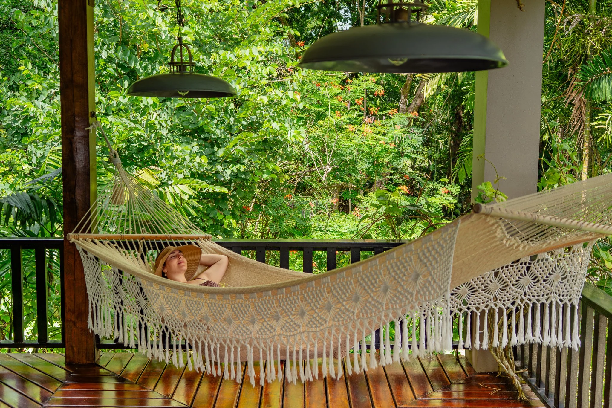 Fog drifts through the valleys of Caves Branch at dawn, painted in soft purple and orange light, contrasting with the vibrant green jungle hills.