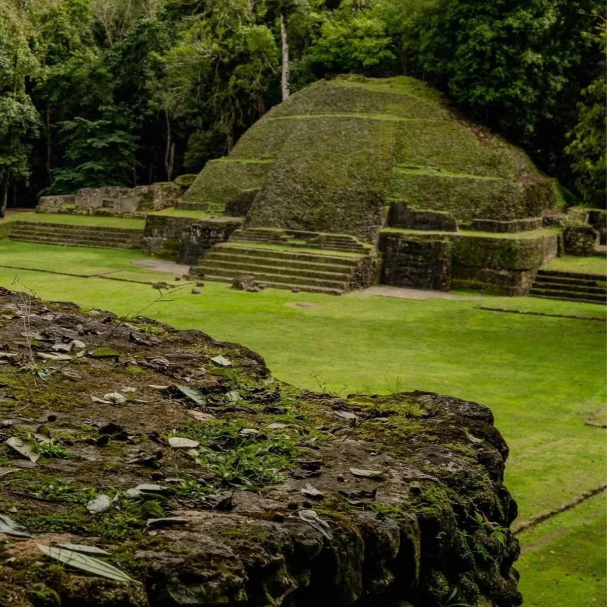 Beams of sunlight pierce the darkness of Caves Branch’s ceremonial cave, cascading through the sinkhole opening and lighting the interior in a dramatic glow.