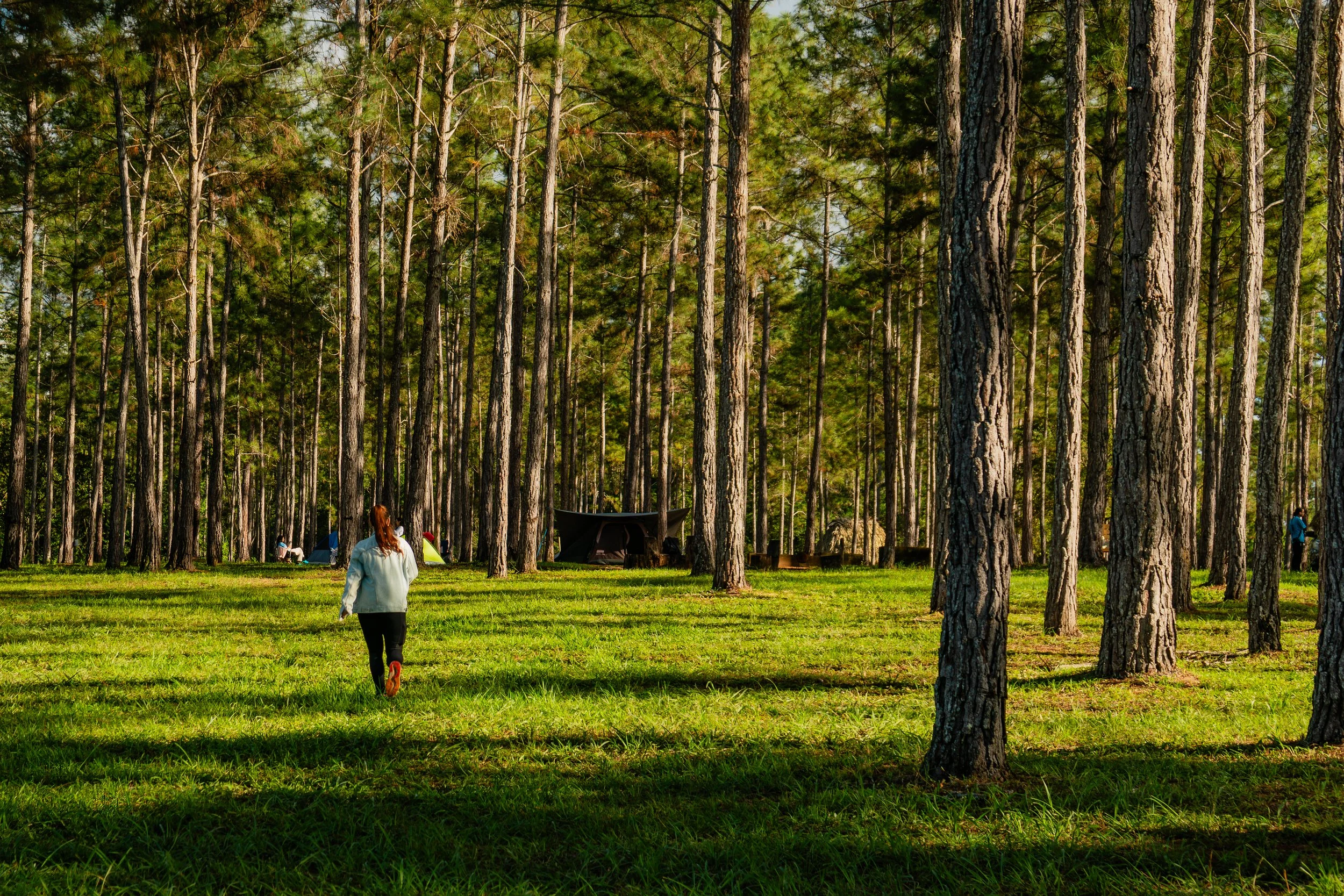 Beams of sunlight pierce the darkness of Caves Branch’s ceremonial cave, cascading through the sinkhole opening and lighting the interior in a dramatic glow.