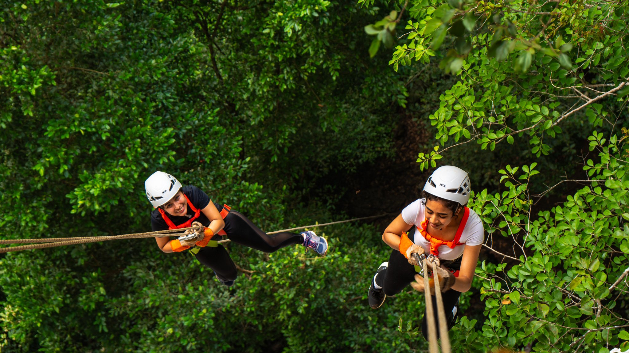 Suspended above the lush canopy, two women descend the Black Hole Drop Sinkhole, helmets and harnesses catching the light.