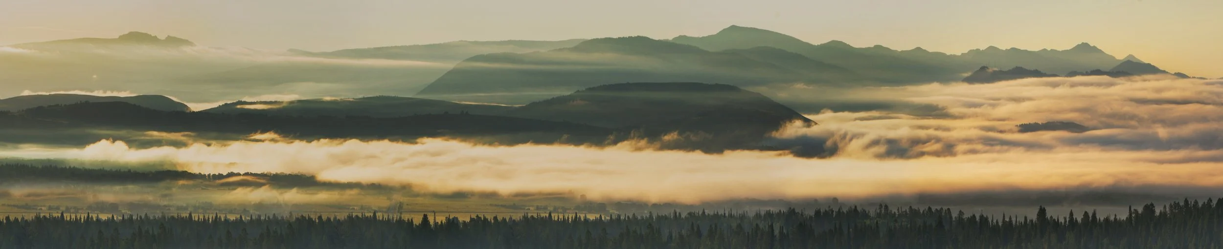 Foggy mountain landscape at sunrise with foreground forest and mist filling the valleys.
