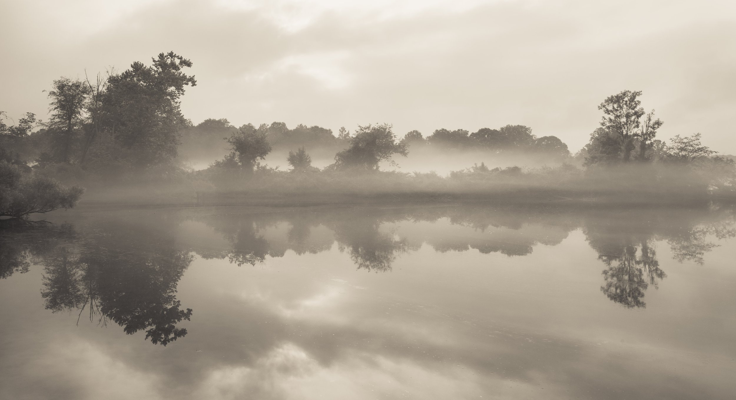 Foggy landscape with trees and a calm reflective river.