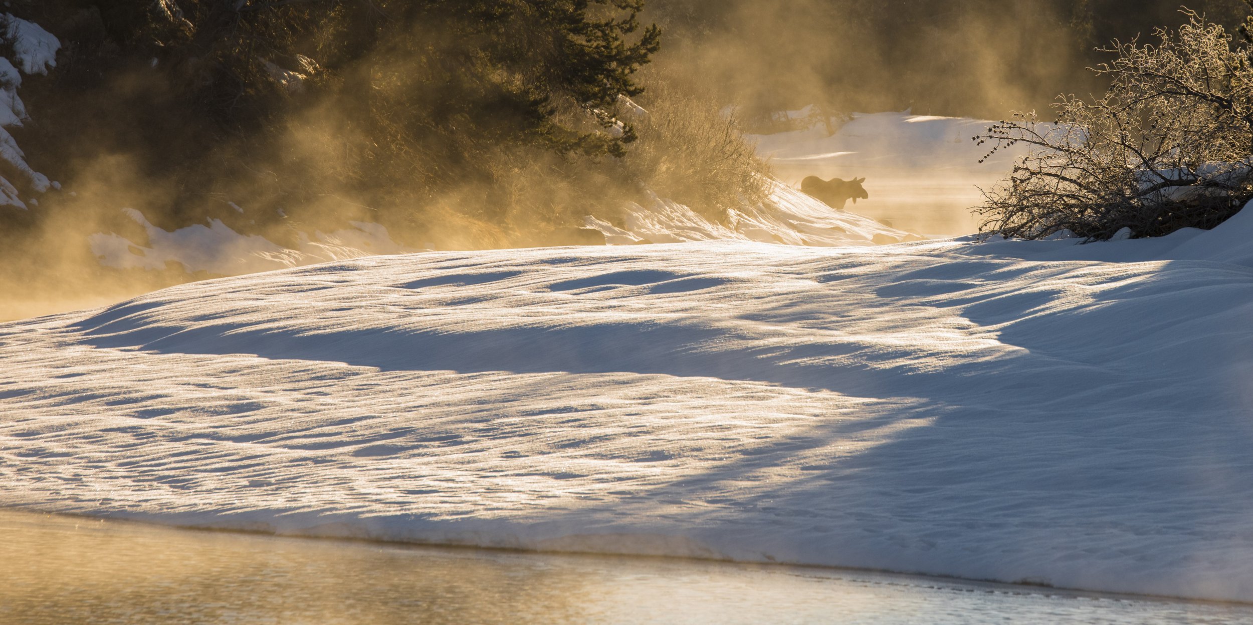 Snowy landscape with mist and a moose near a body of water.