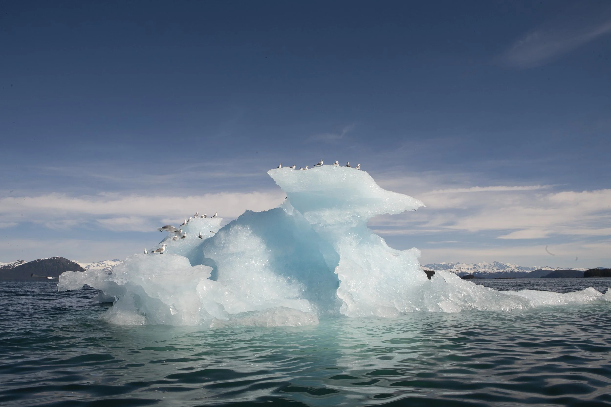 Iceberg with seagulls perched on top in a body of water, surrounded by snowy mountains and a clear blue sky.