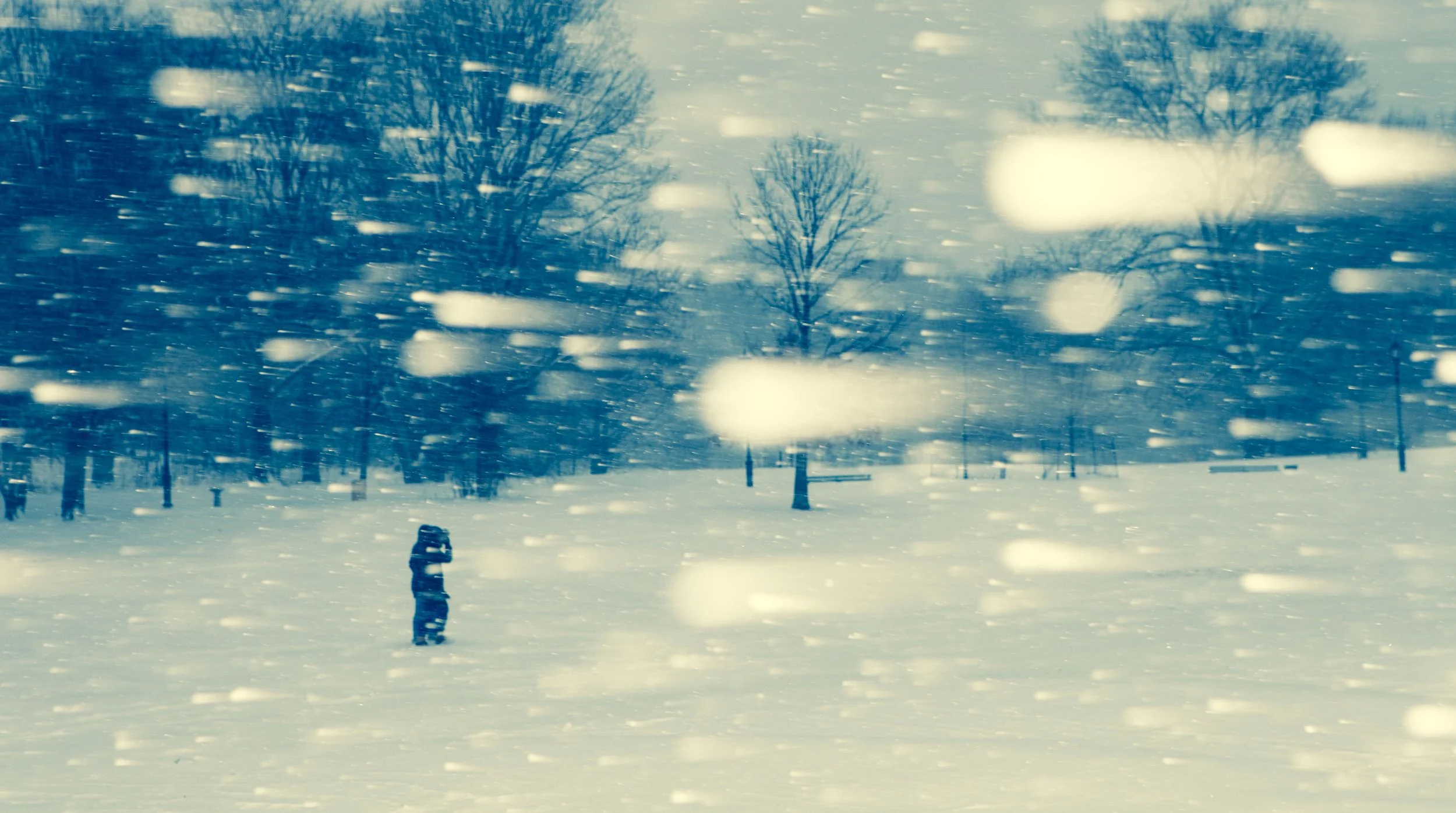 Person walking in a snow-covered park during heavy snowfall, surrounded by bare trees.