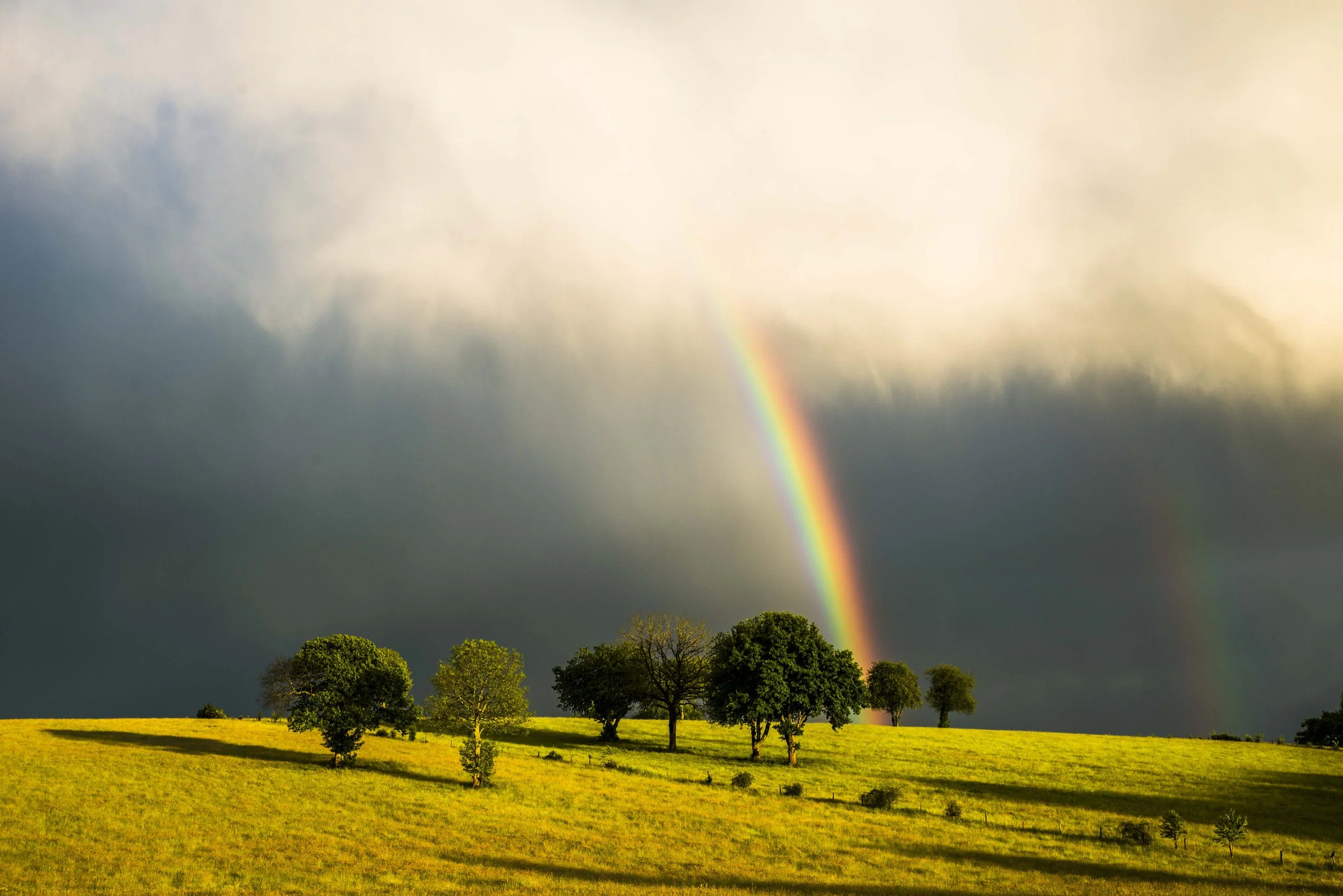 Rainbow over grassy field with trees under a cloudy sky.