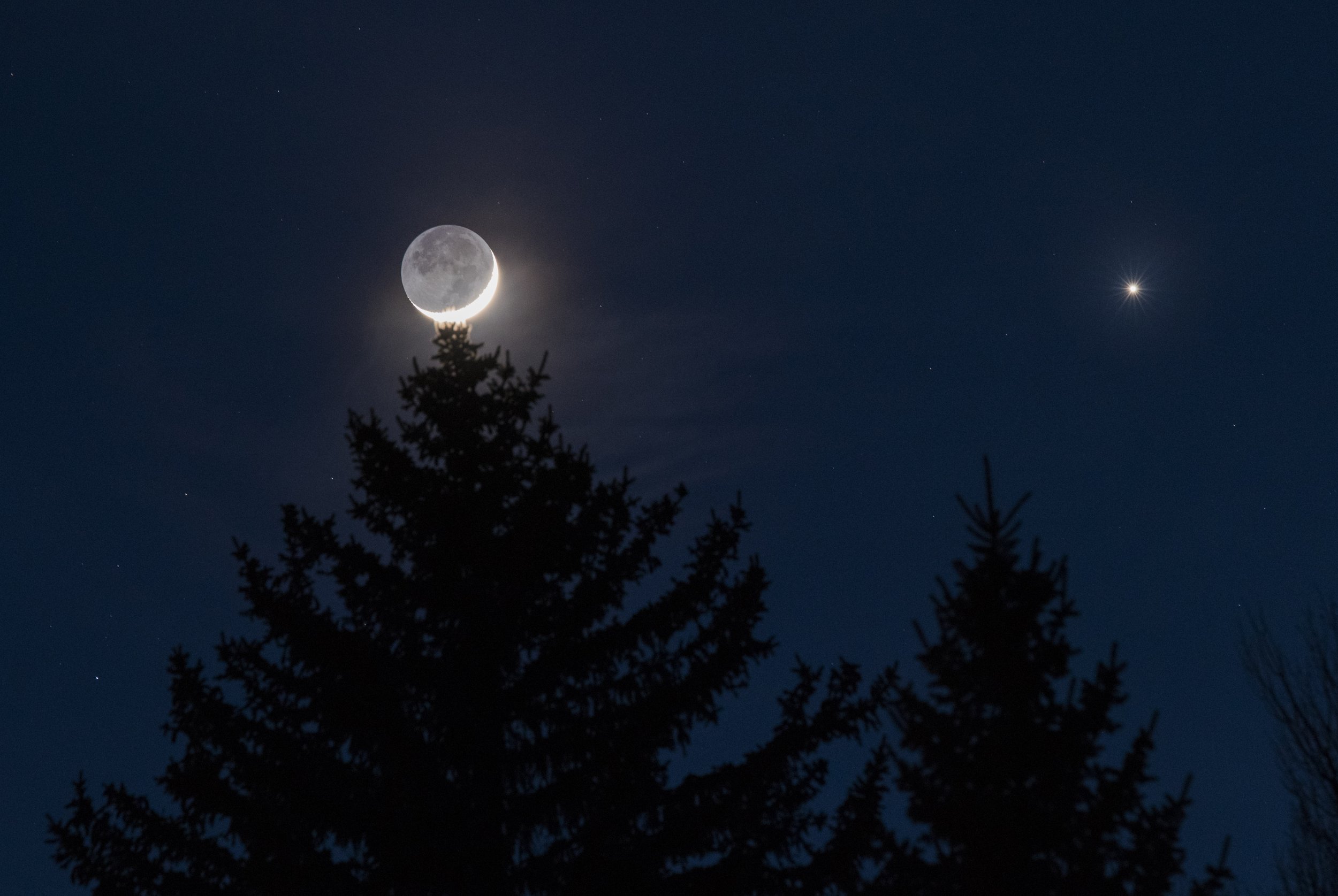 Crescent moon above a silhouetted pine tree at night with a bright star or planet visible in the sky.