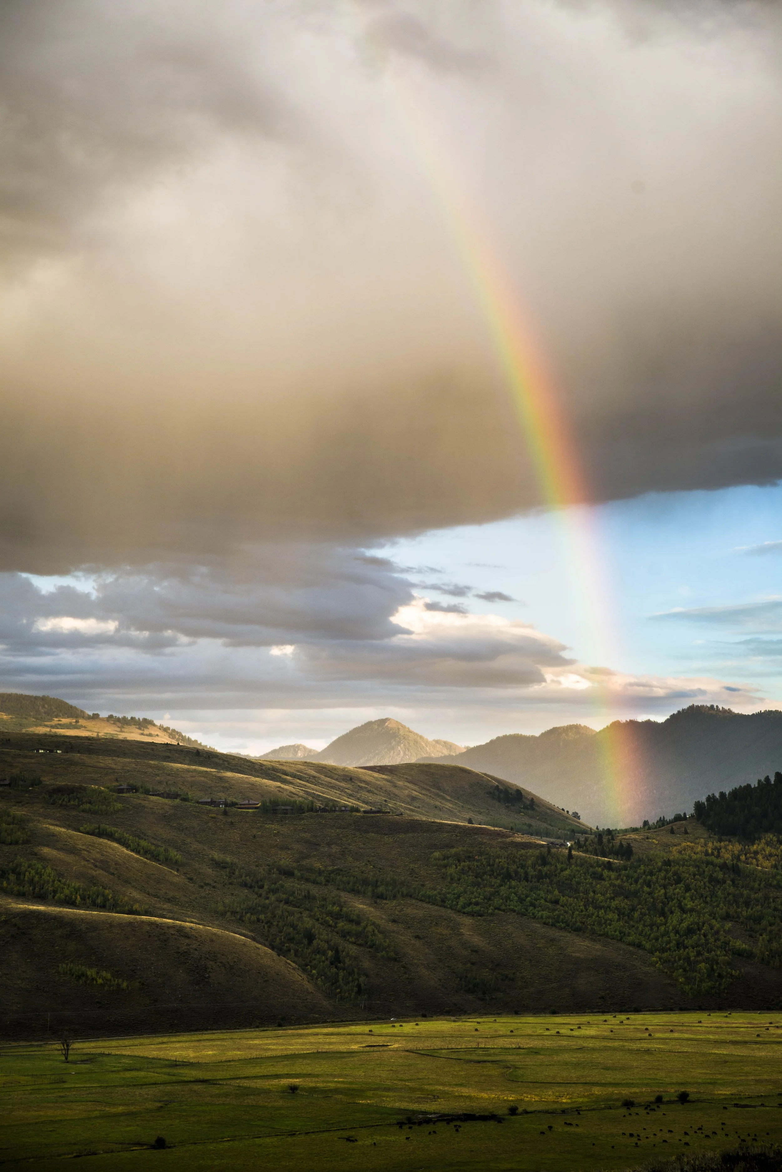 A scenic landscape with a vibrant rainbow arching over green hills under a cloudy sky.