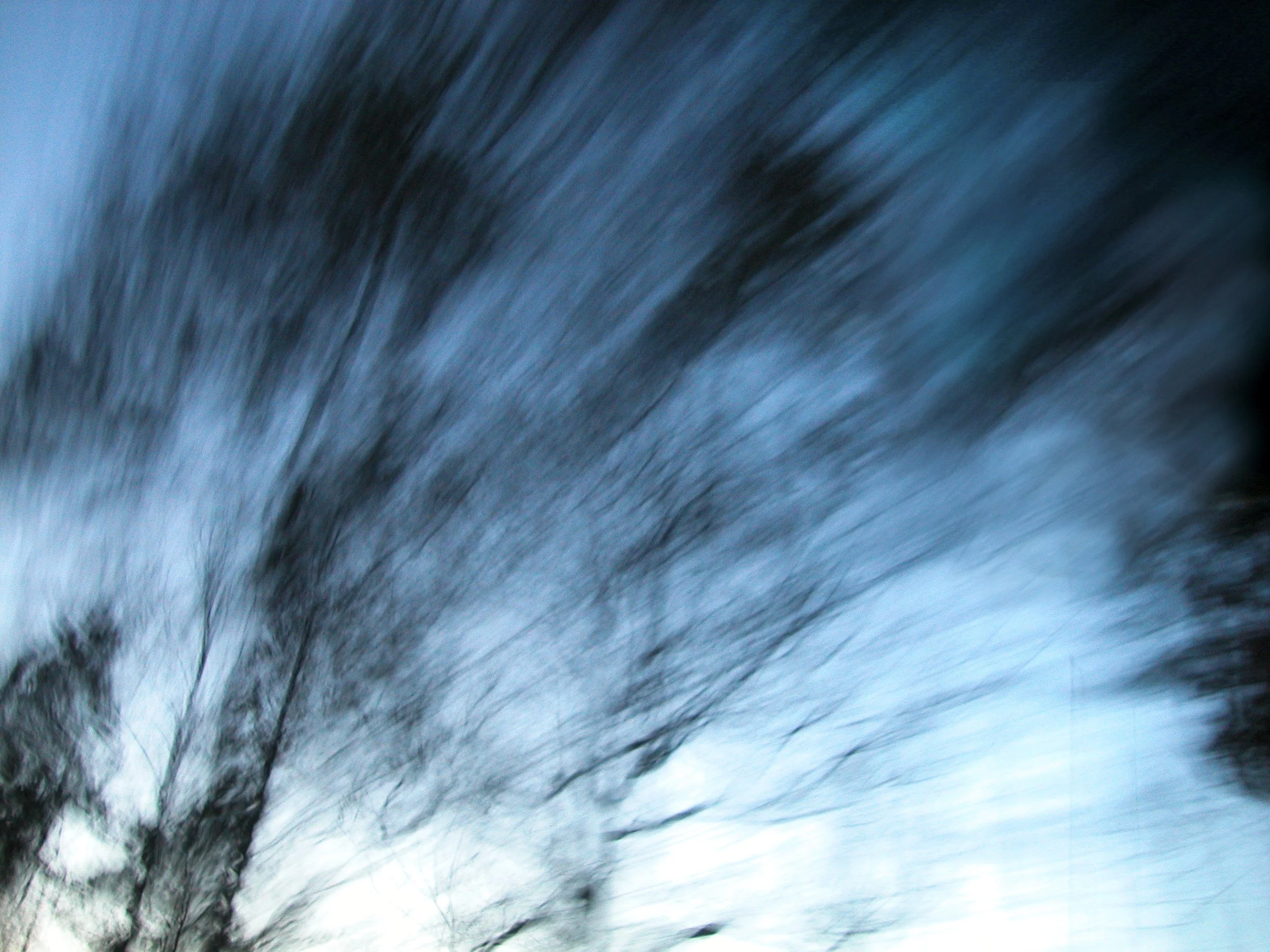 Blurry motion effect of trees against a blue sky