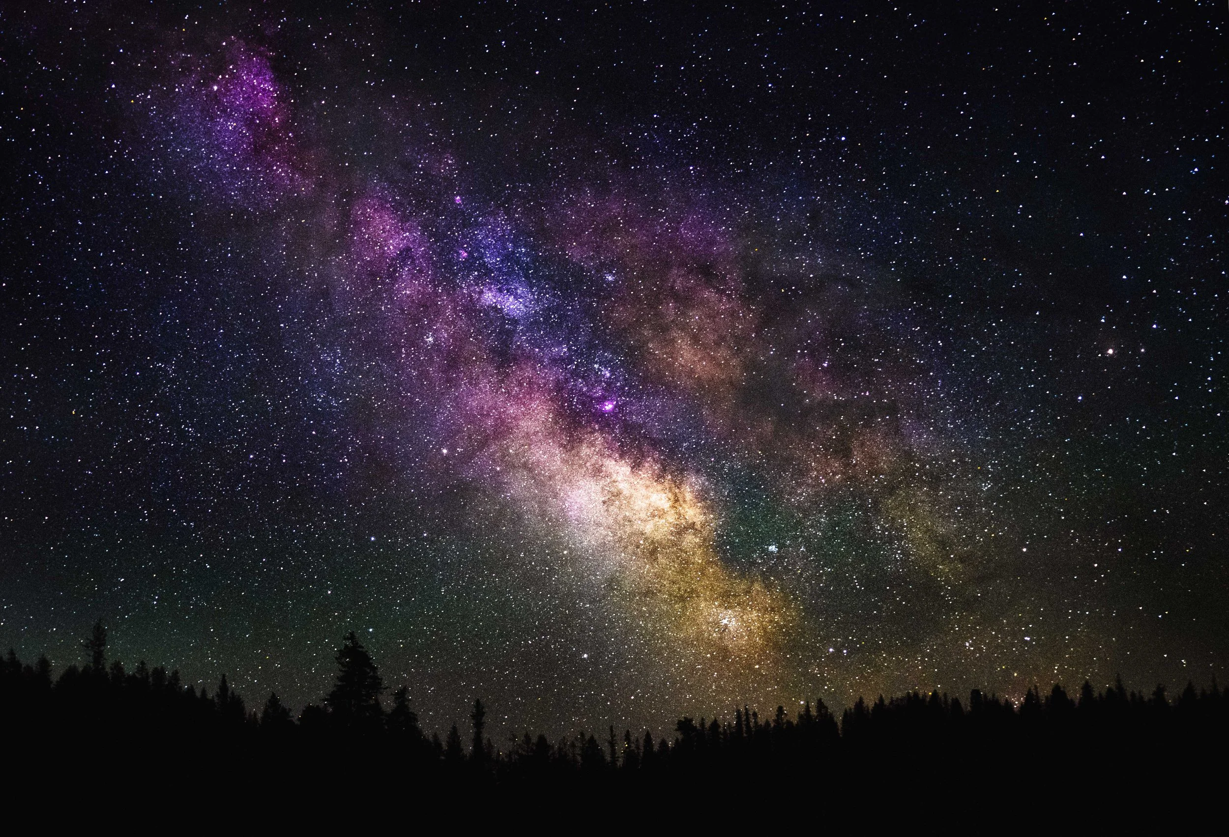 Night sky with Milky Way galaxy and stars above a forest silhouette.
