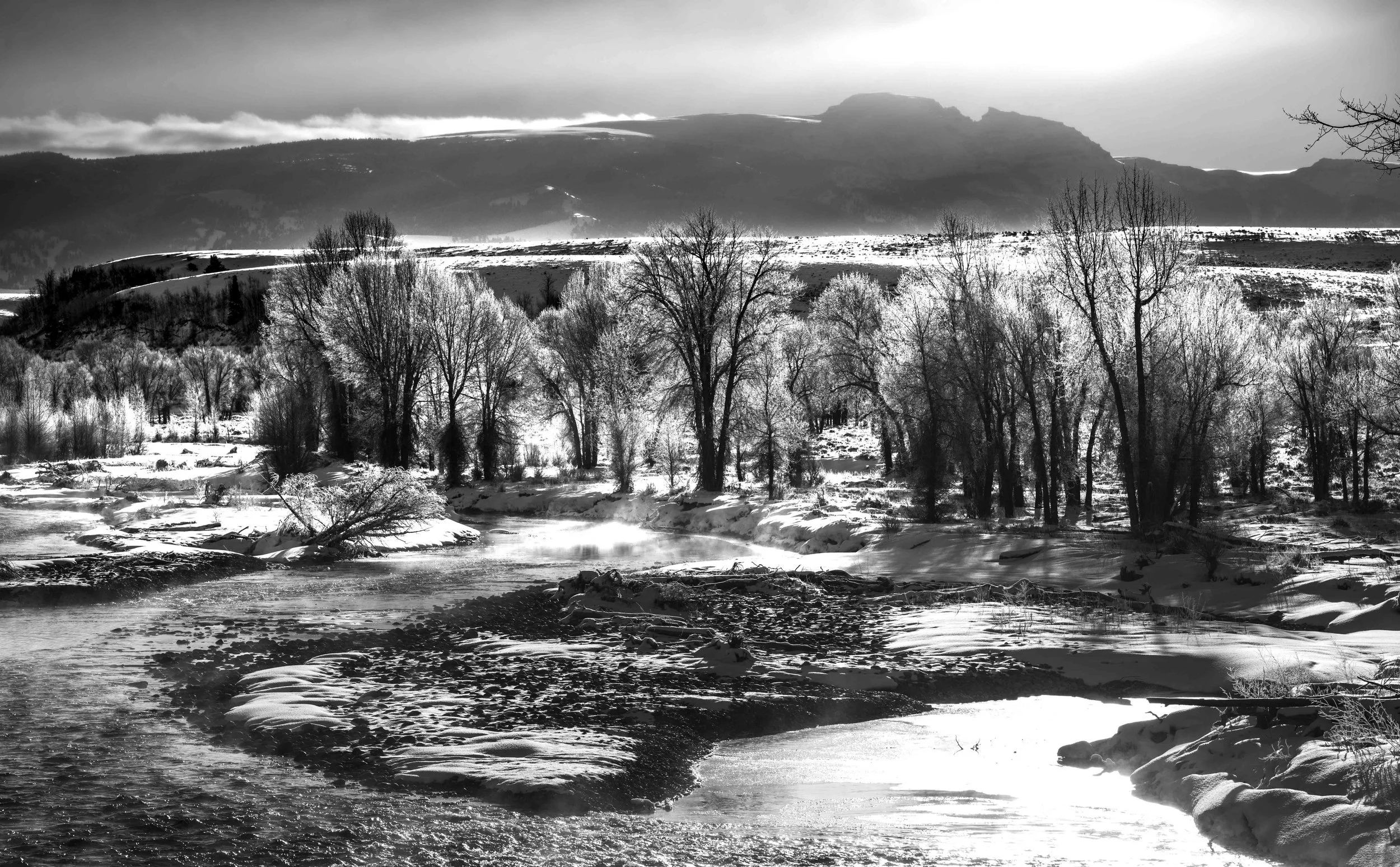 Black and white landscape of a snowy riverbank with bare trees and distant mountains.