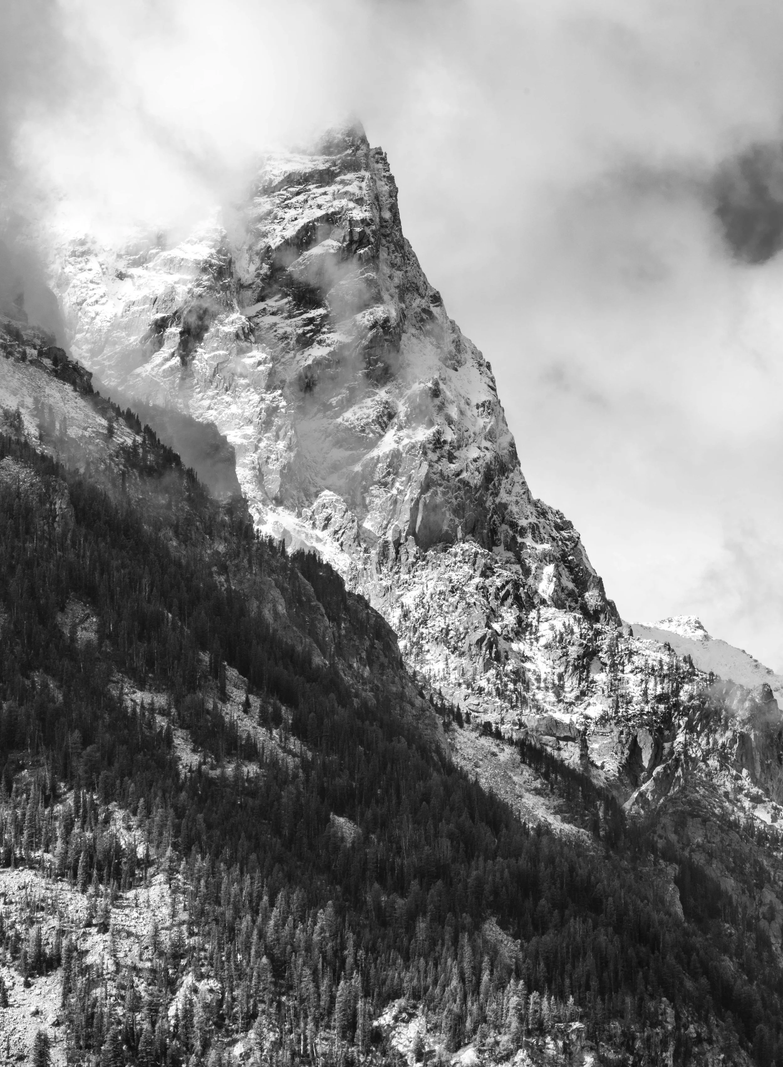 Snow-covered mountain peak with surrounding clouds and forested slopes.