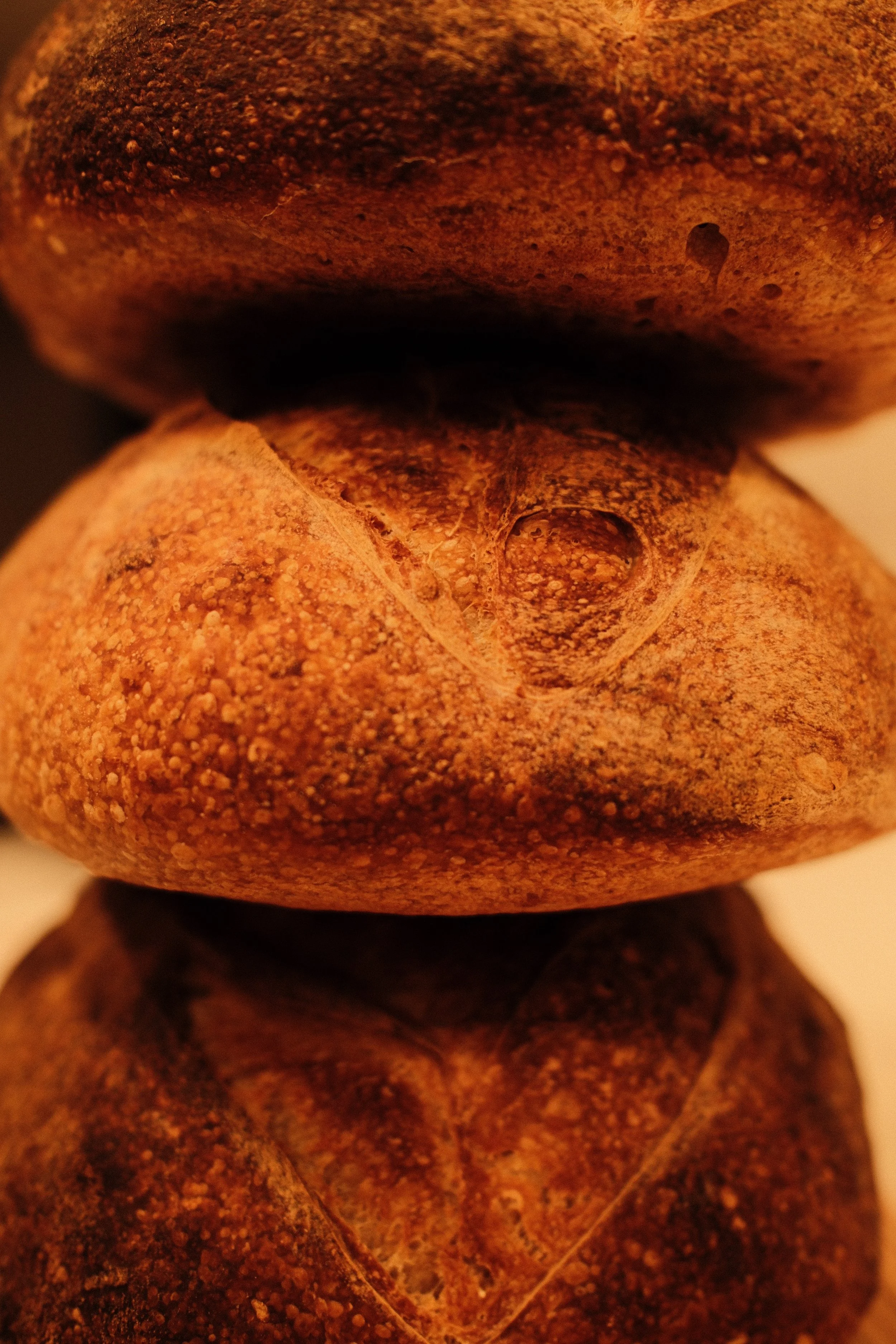 DSCF4304 3.JPG