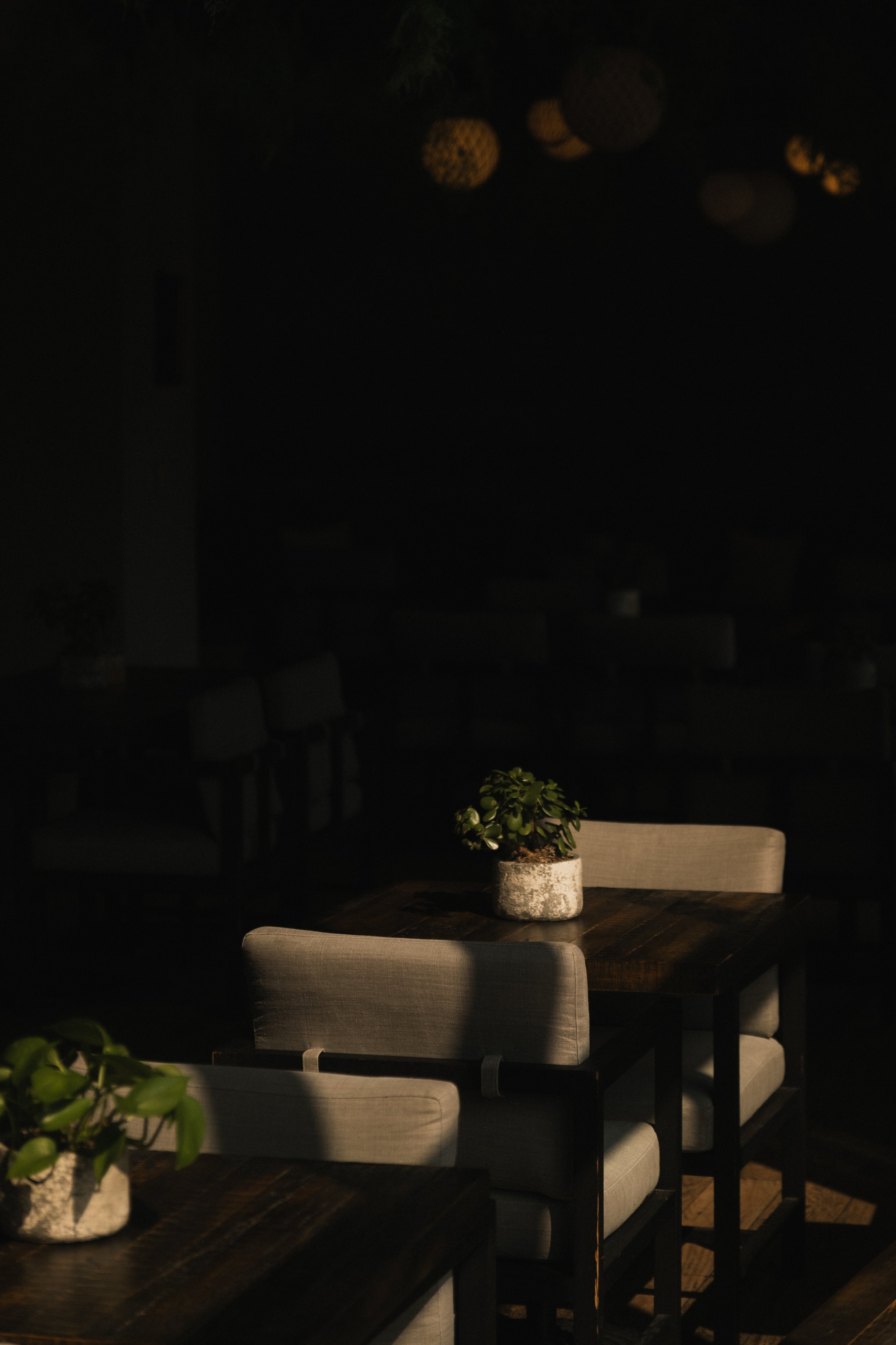 1 Hotel San Francisco __ Nick Buckler-433.jpg