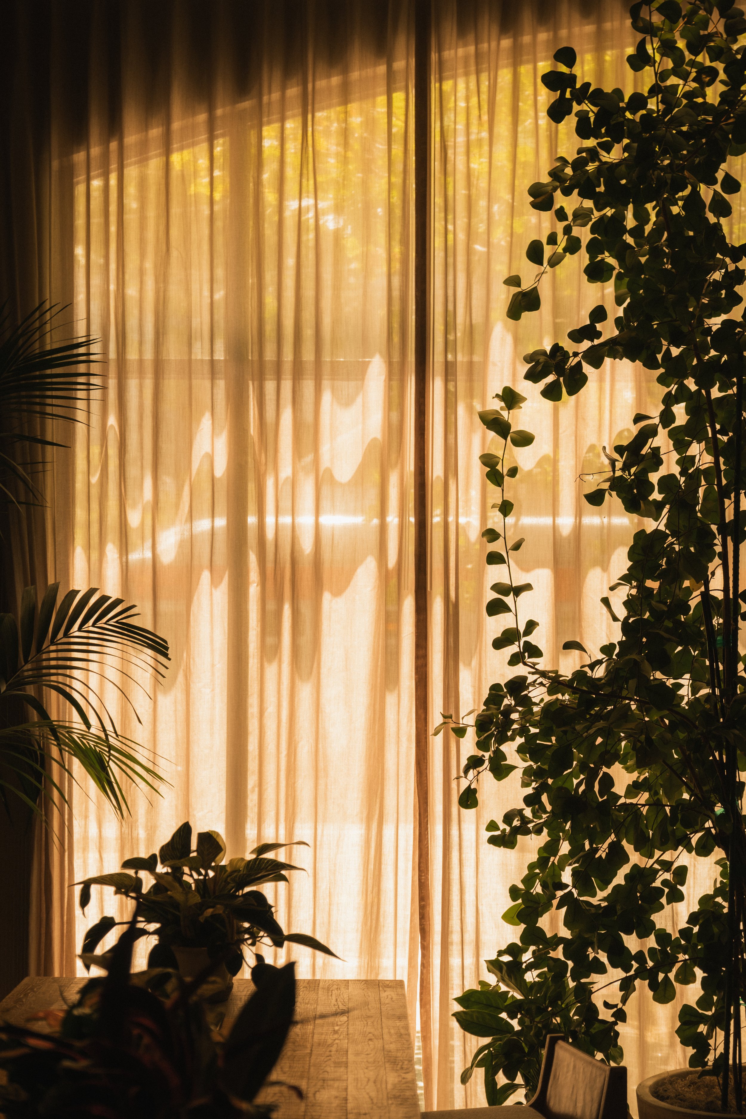 1 Hotel San Francisco __ Nick Buckler-338.jpg