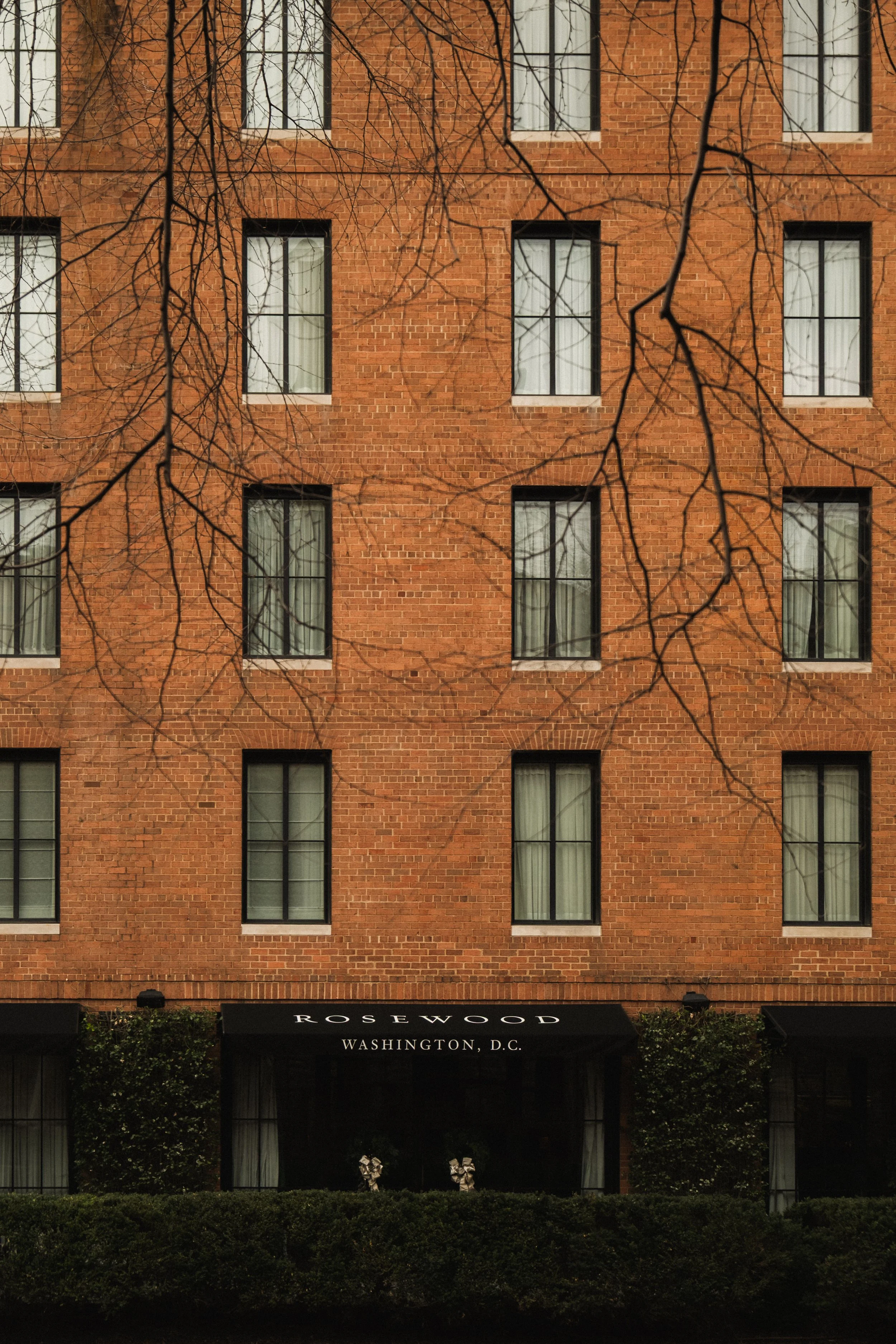 Rosewood D.C. __ Nick Buckler-115.jpg