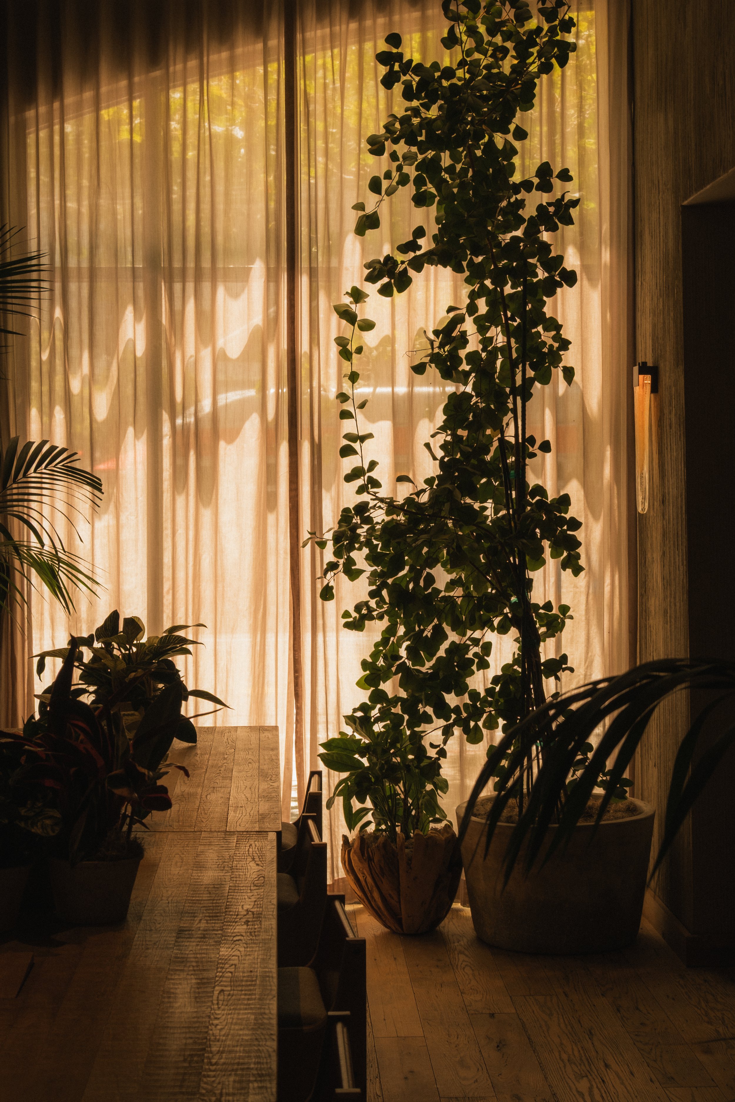 1 Hotel San Francisco __ Nick Buckler-340.jpg