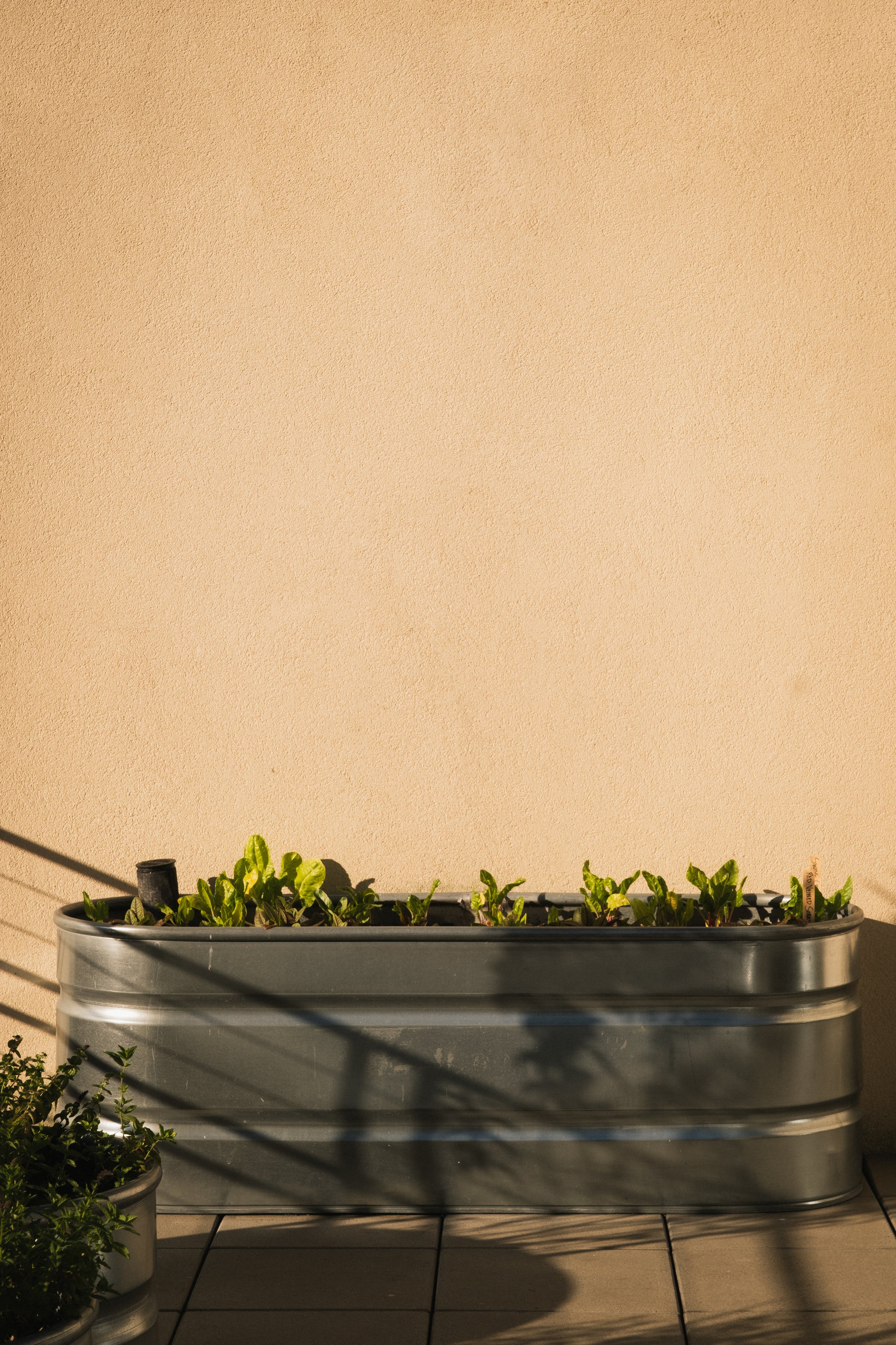 1 Hotel San Francisco __ Nick Buckler-296.jpg