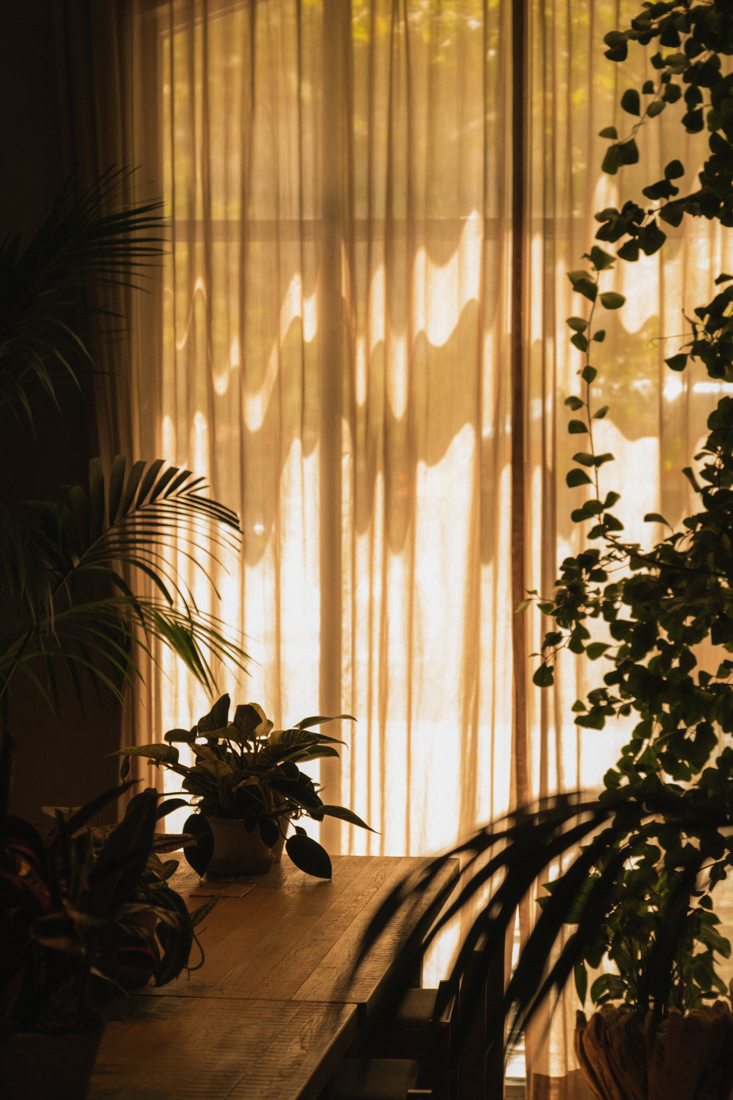 1 Hotel San Francisco __ Nick Buckler-339.jpg