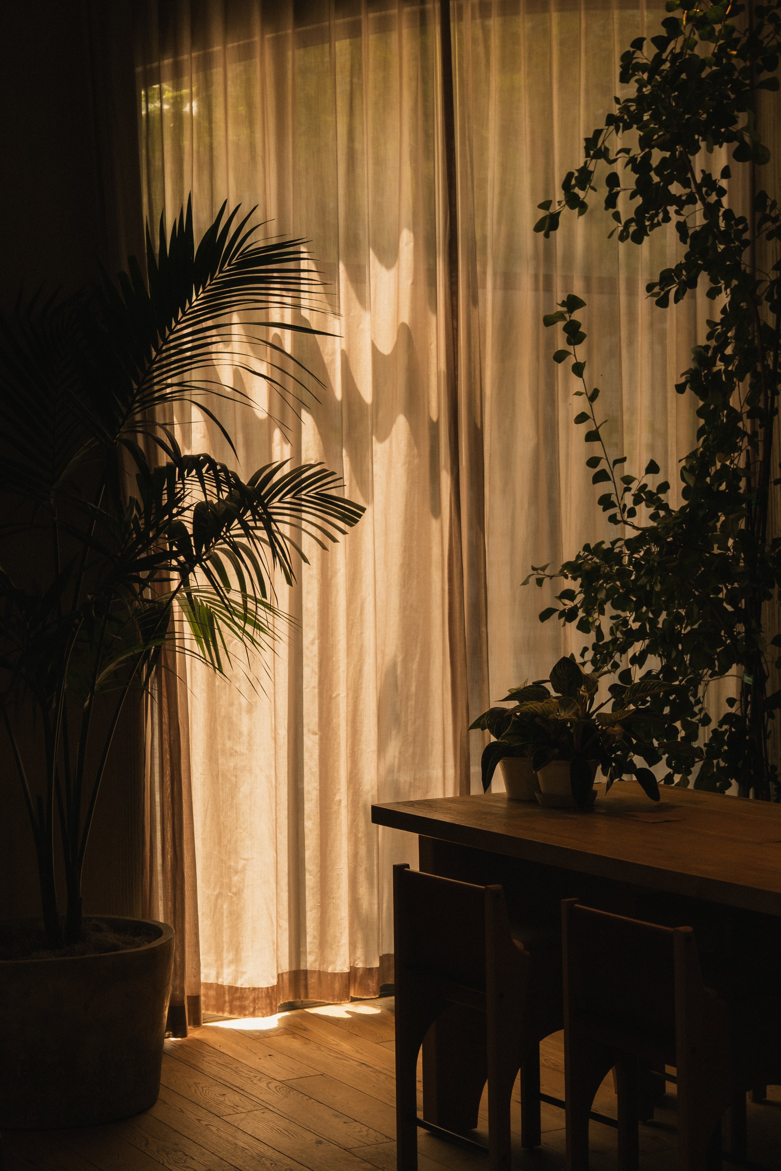 1 Hotel San Francisco __ Nick Buckler-347.jpg