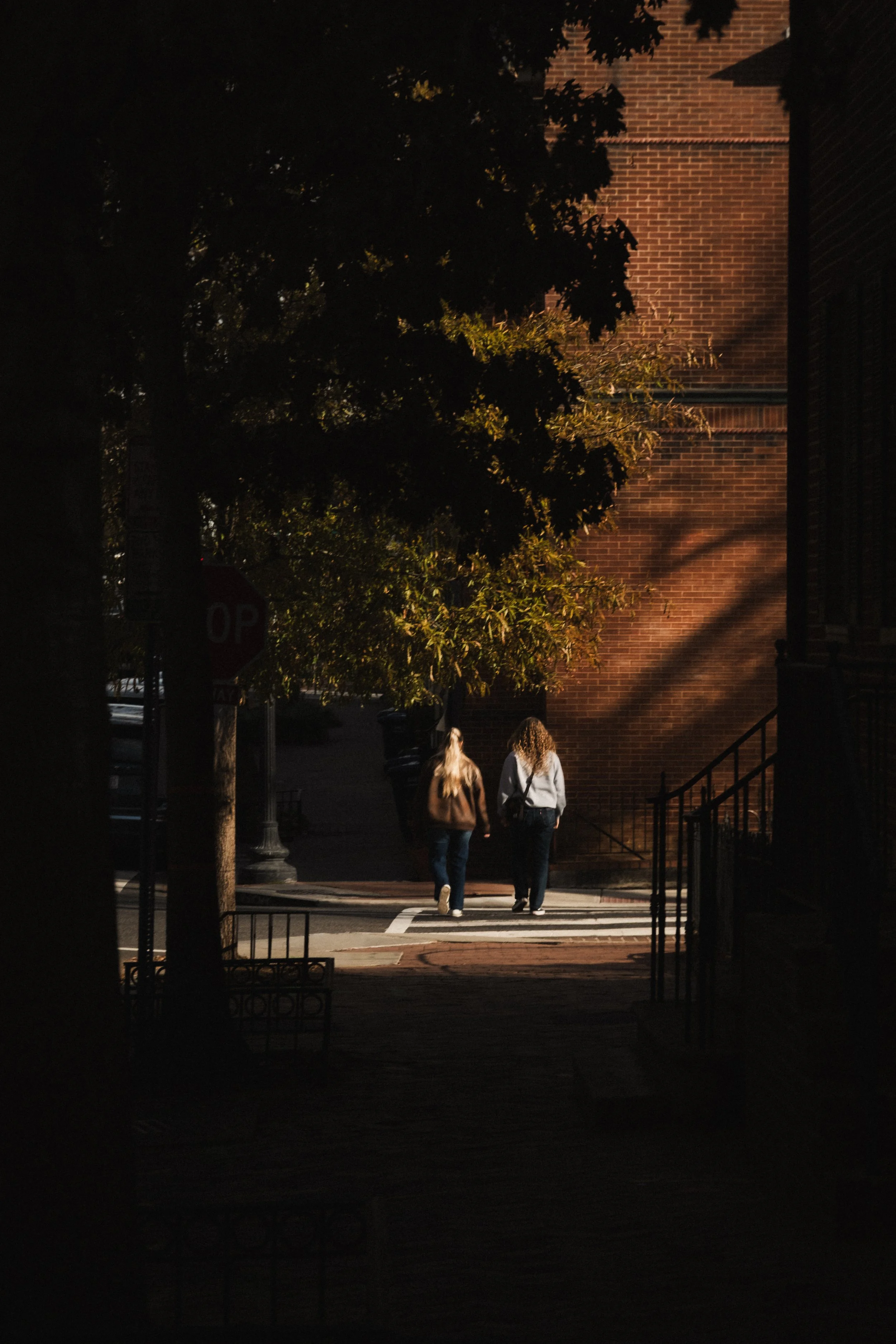 Rosewood D.C. __ Nick Buckler-036.jpg