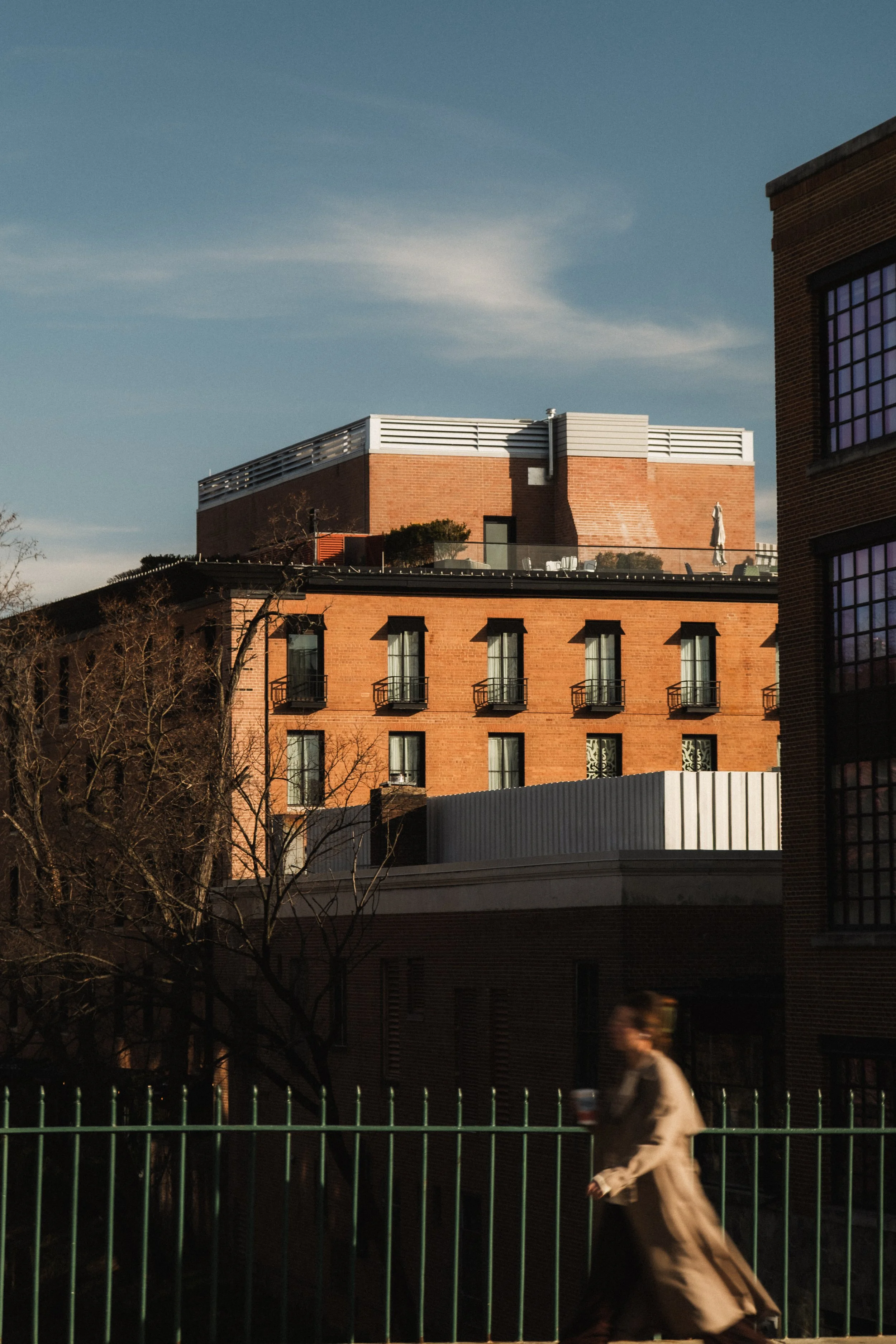 Rosewood D.C. __ Nick Buckler-053.jpg