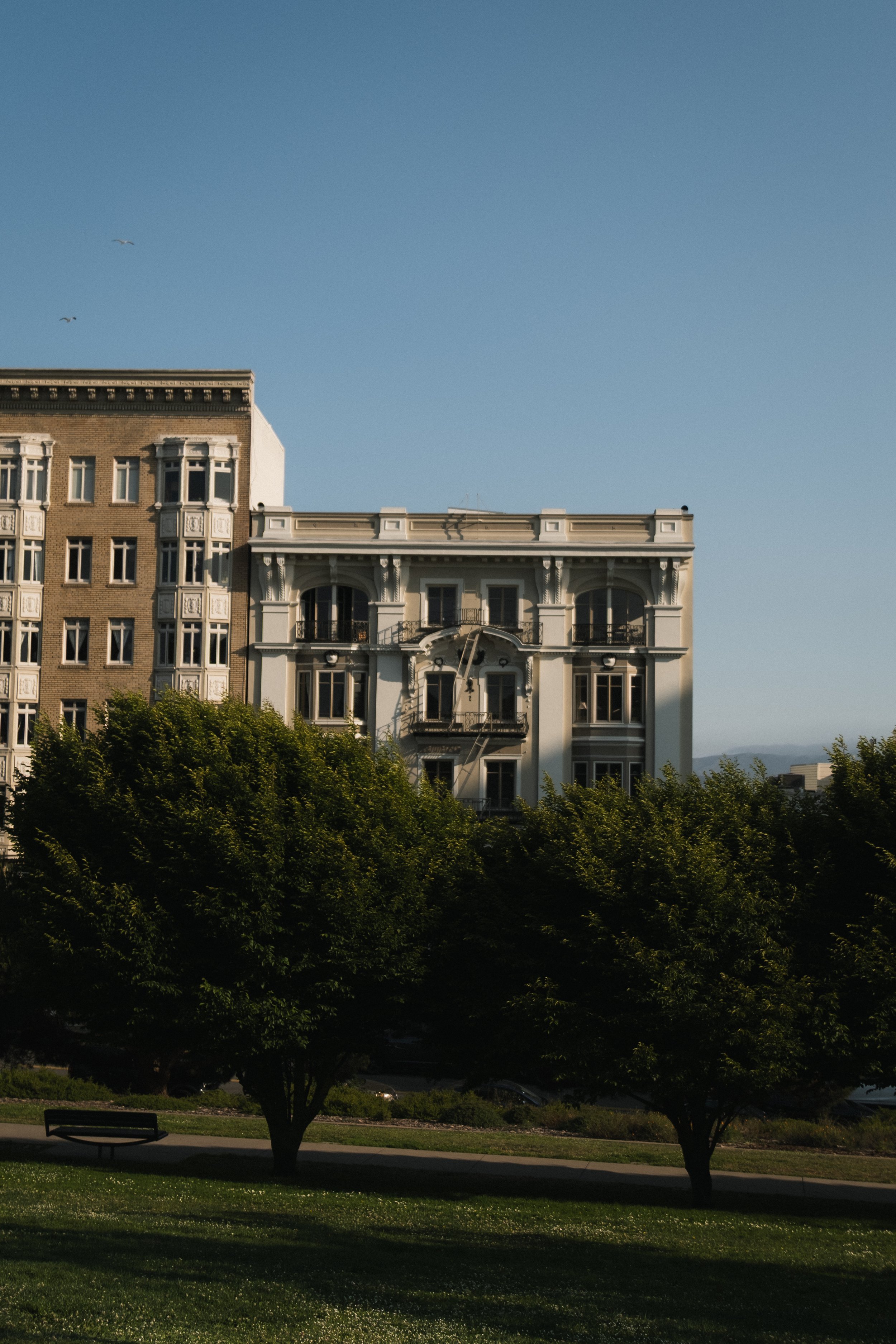 1 Hotel San Francisco __ Nick Buckler-392.jpg