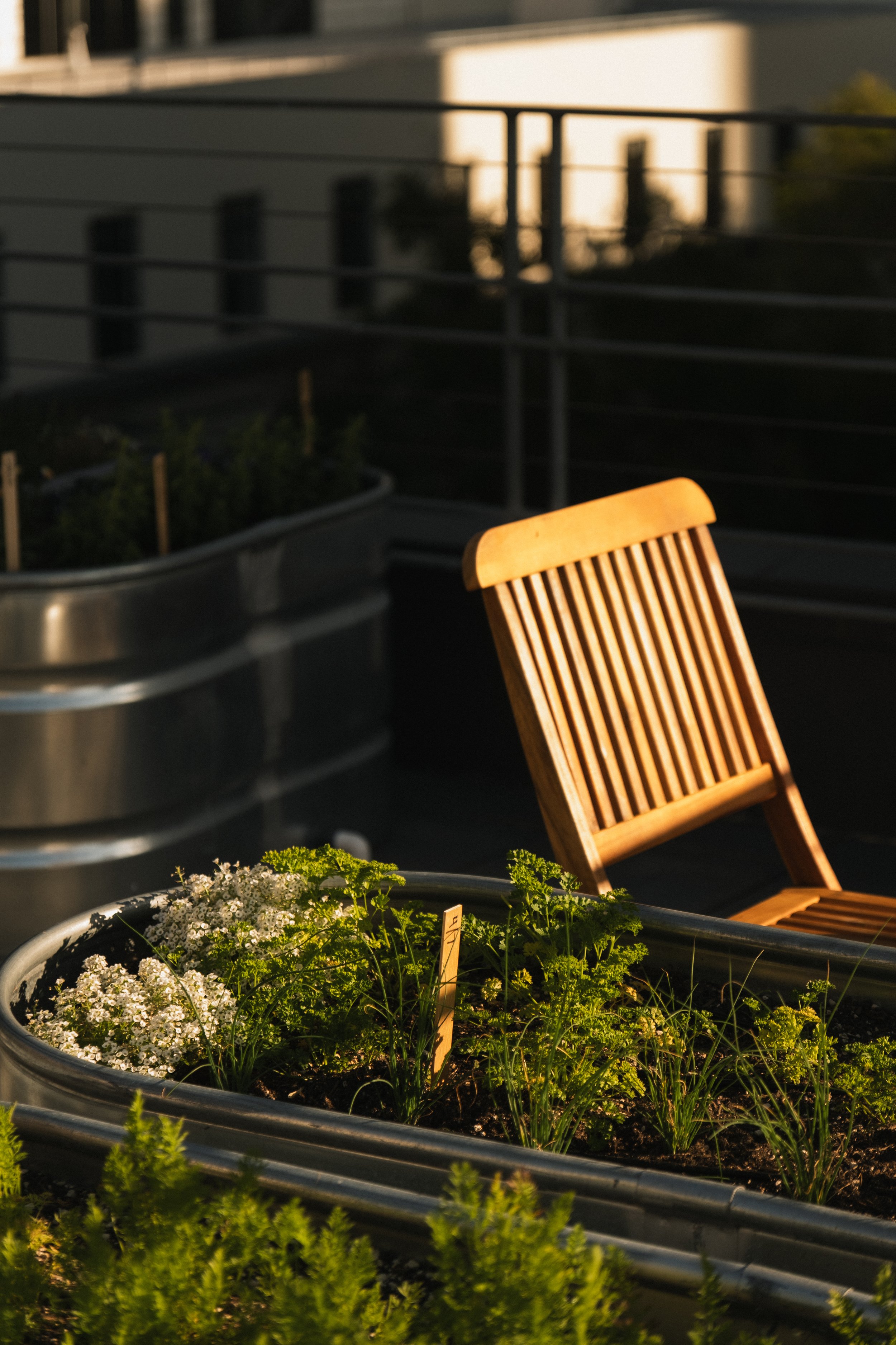 1 Hotel San Francisco __ Nick Buckler-298.jpg