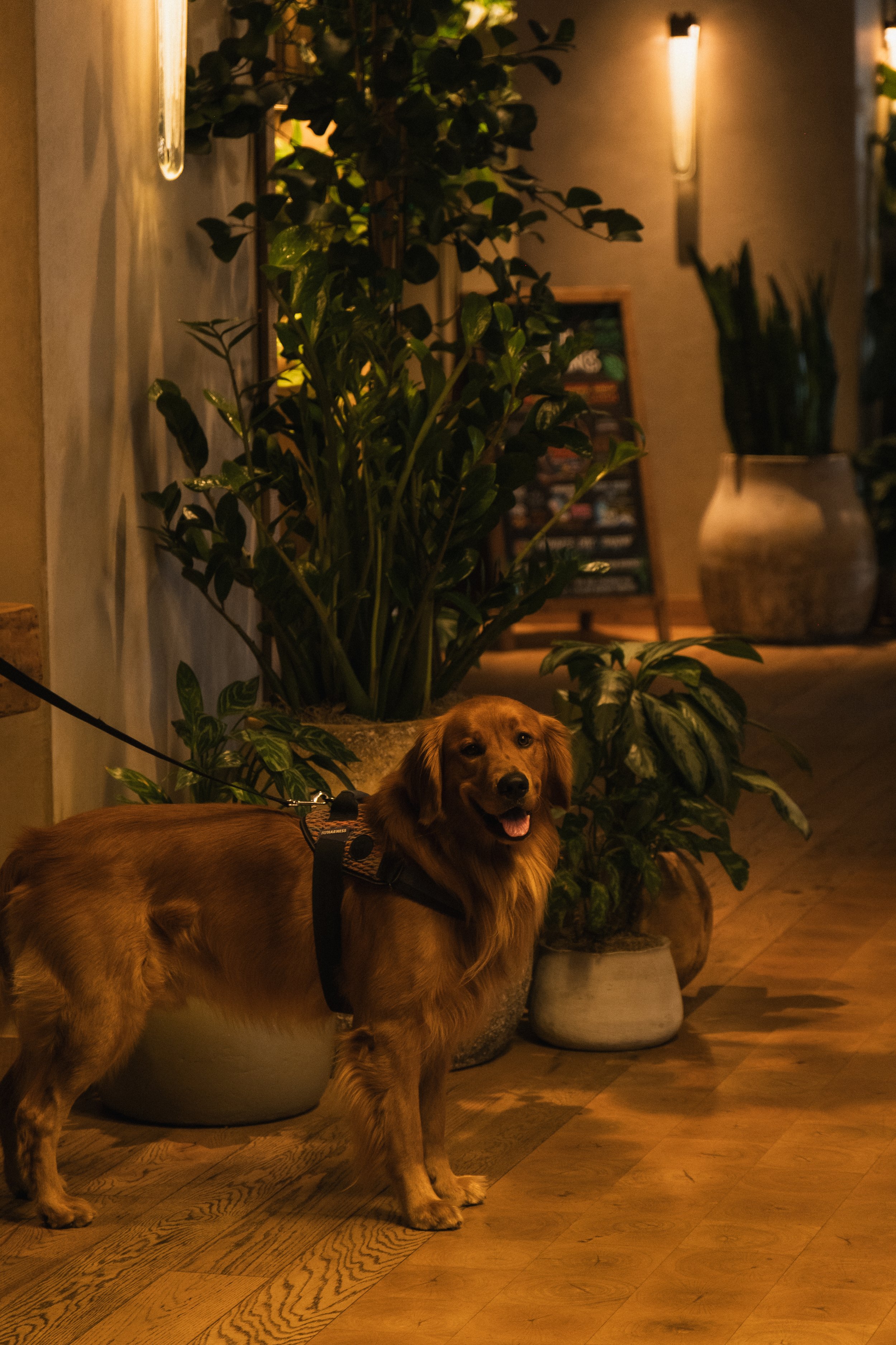 1 Hotel San Francisco __ Nick Buckler-283.jpg