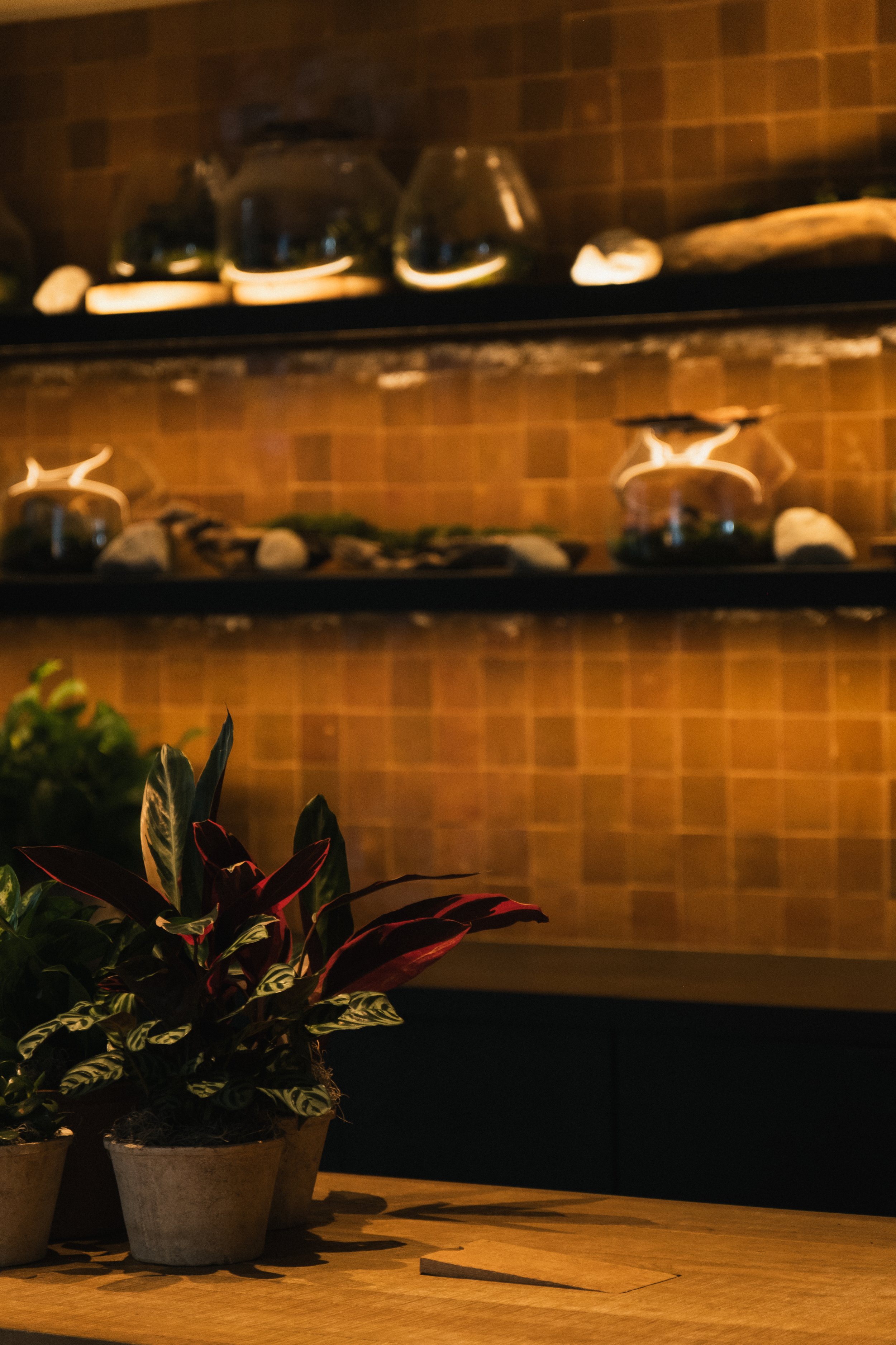 1 Hotel San Francisco __ Nick Buckler-278.jpg