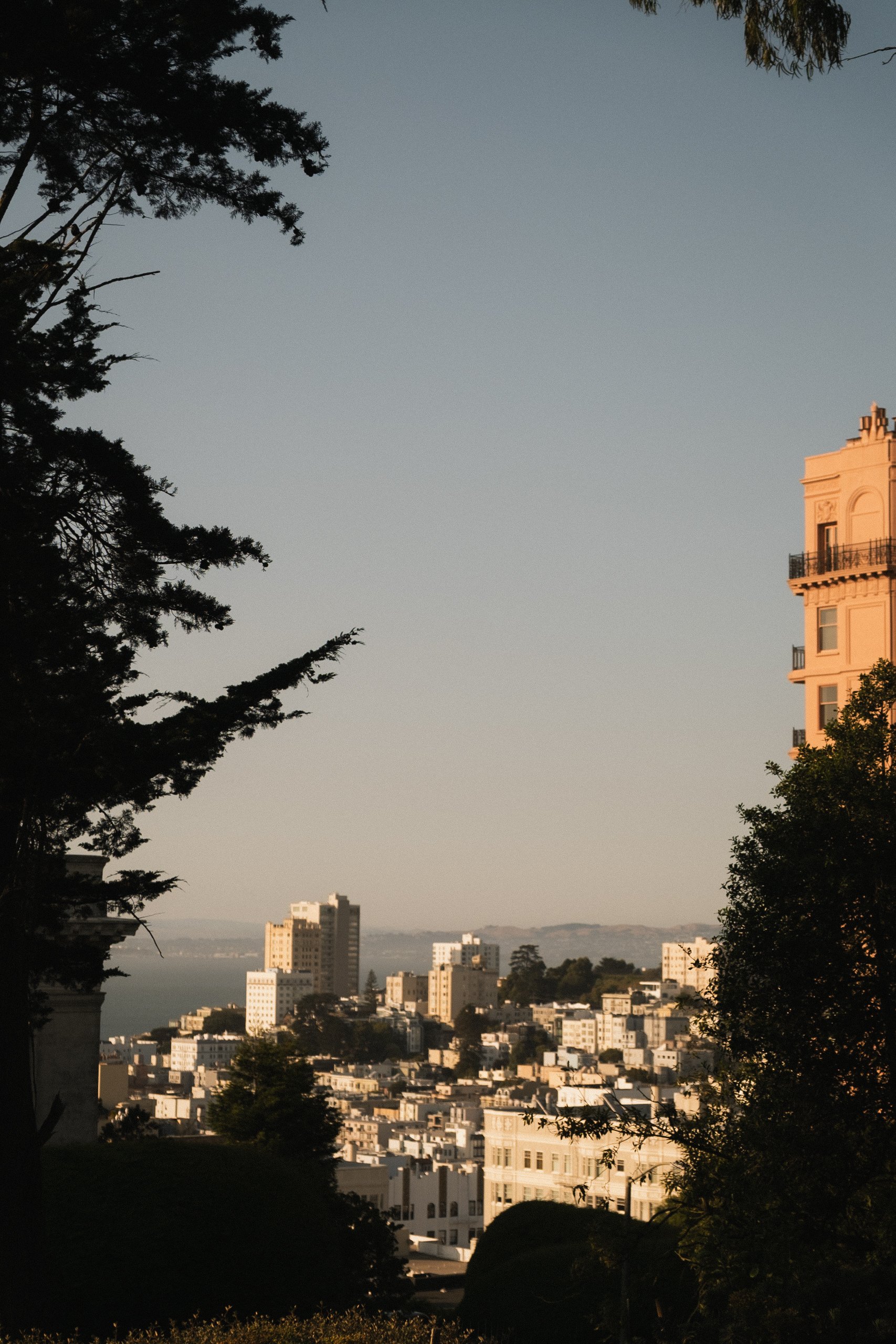 1 Hotel San Francisco __ Nick Buckler-403.jpg