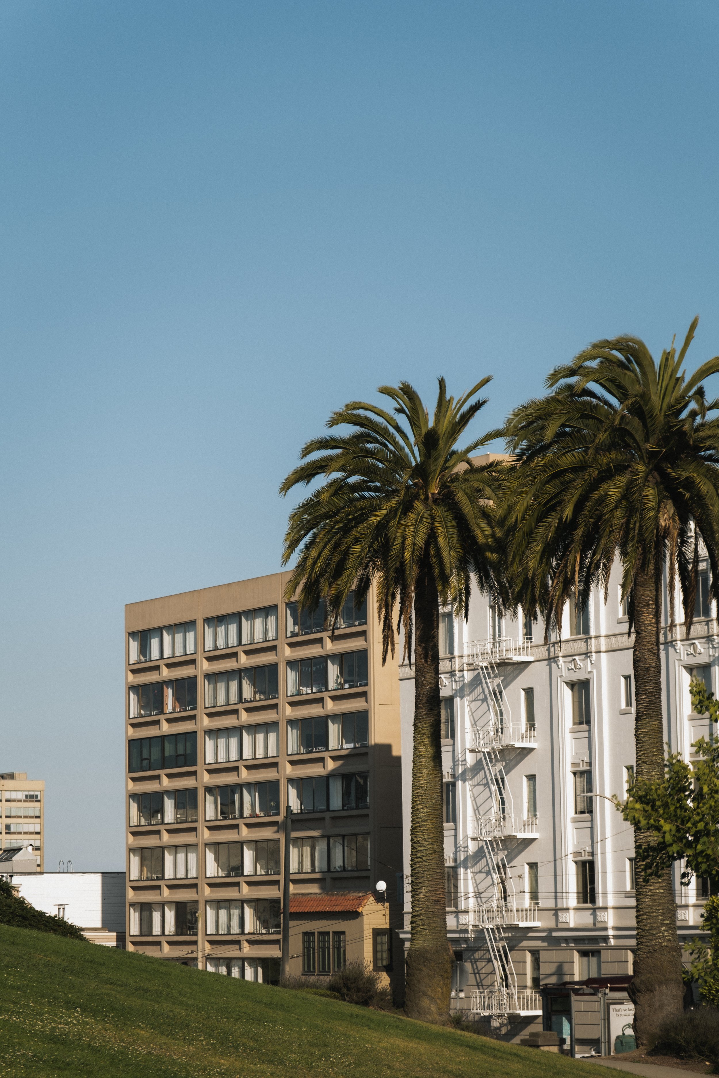 1 Hotel San Francisco __ Nick Buckler-385.jpg