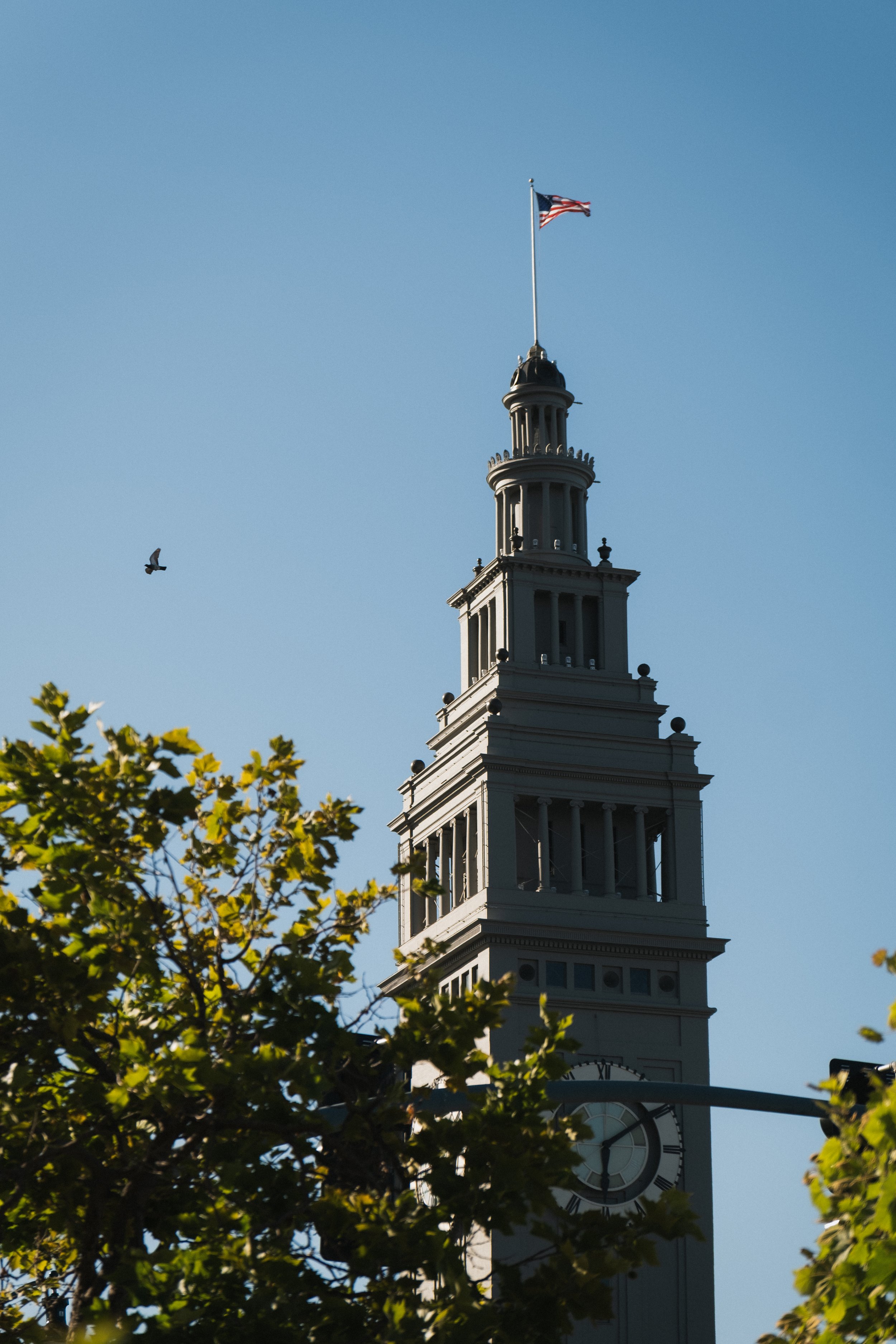 1 Hotel San Francisco __ Nick Buckler-262.jpg