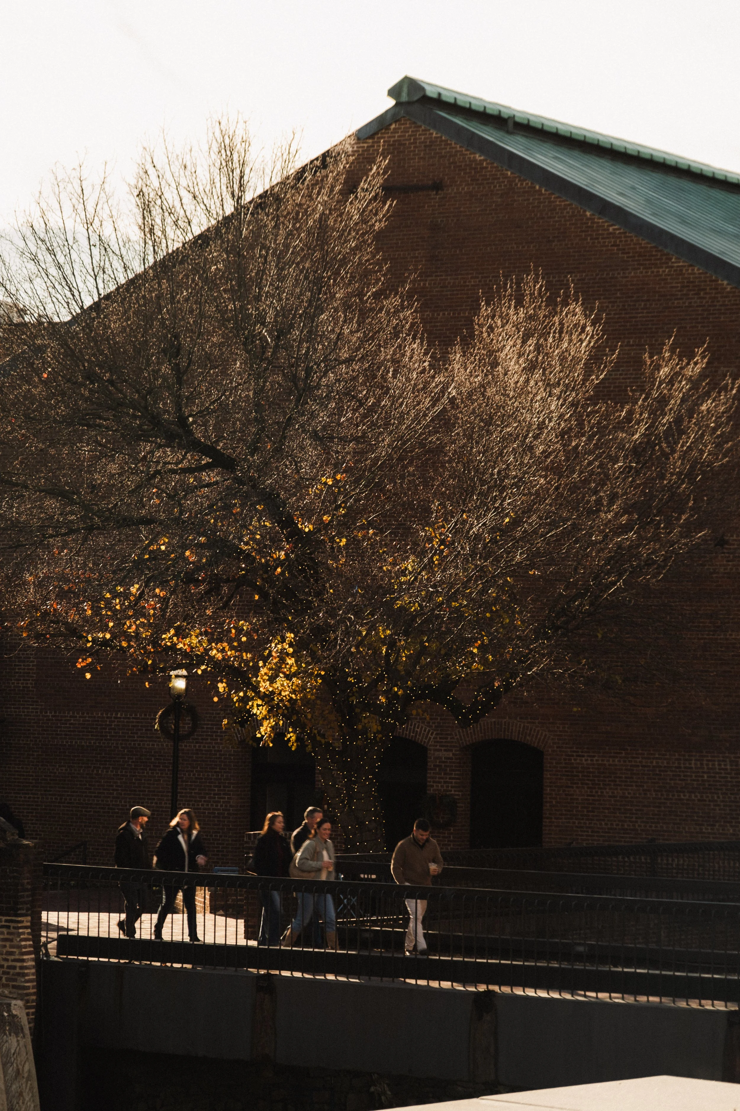 Rosewood D.C. __ Nick Buckler-049.jpg