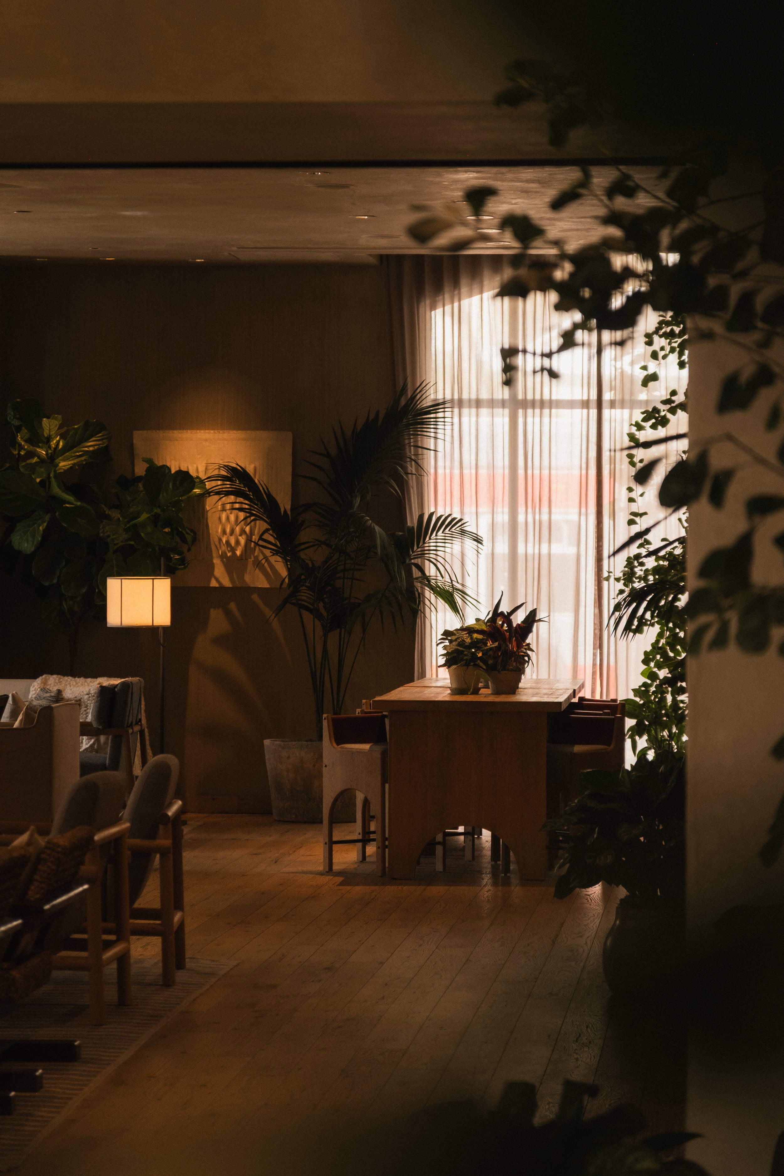 1 Hotel San Francisco __ Nick Buckler-442.jpg