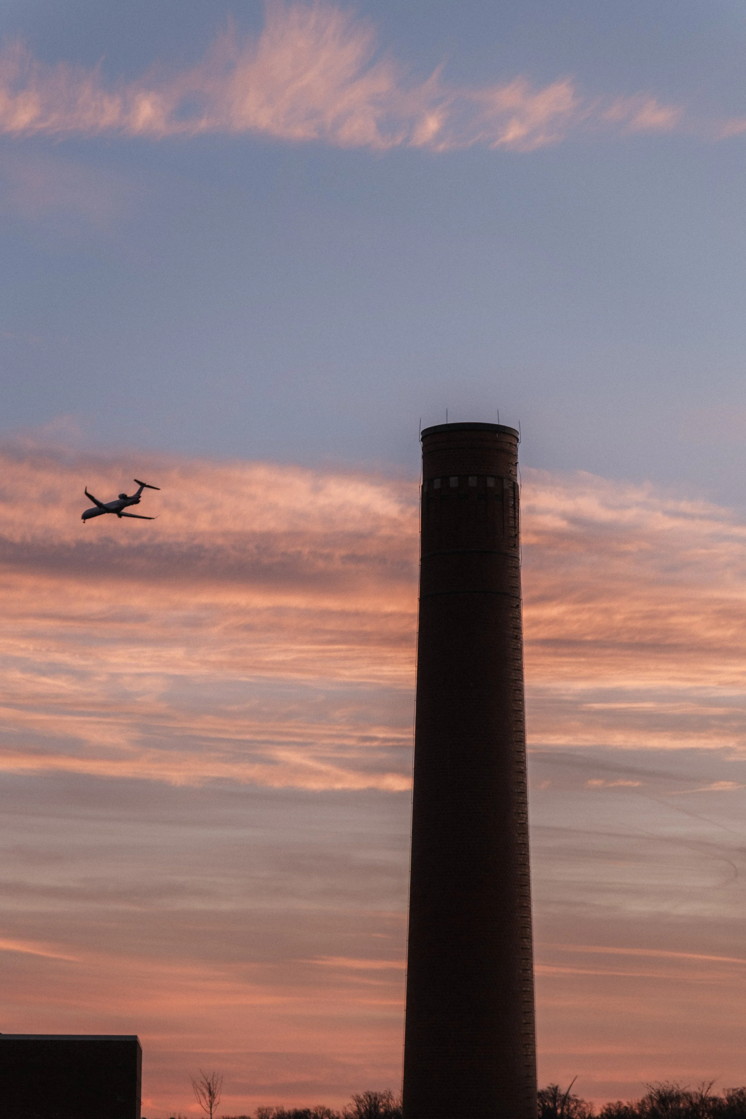 Rosewood D.C. __ Nick Buckler-083.jpg