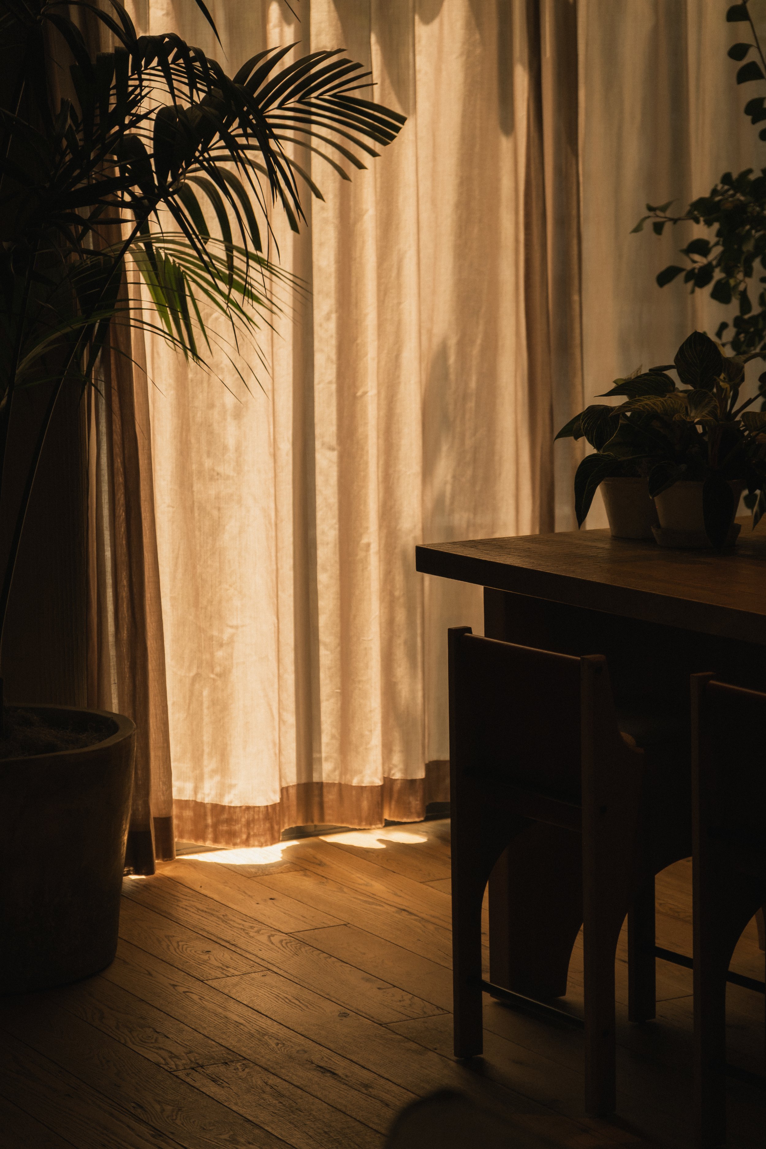 1 Hotel San Francisco __ Nick Buckler-346.jpg