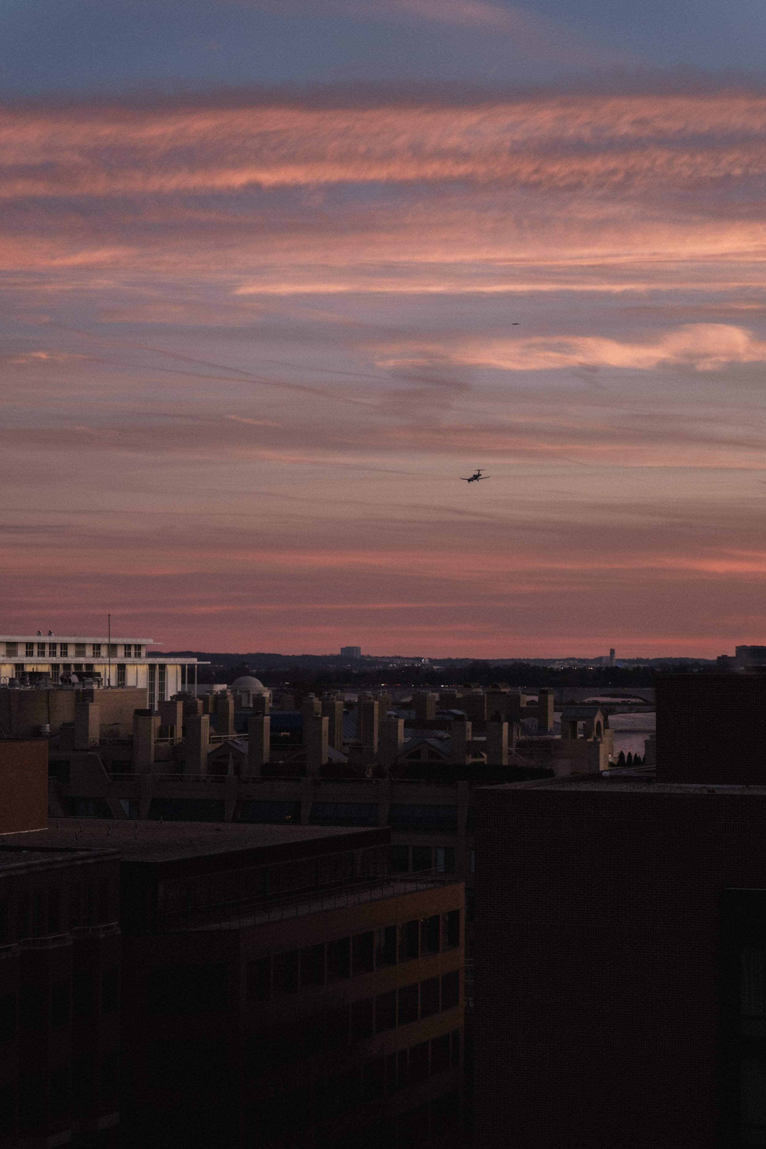 Rosewood D.C. __ Nick Buckler-084.jpg