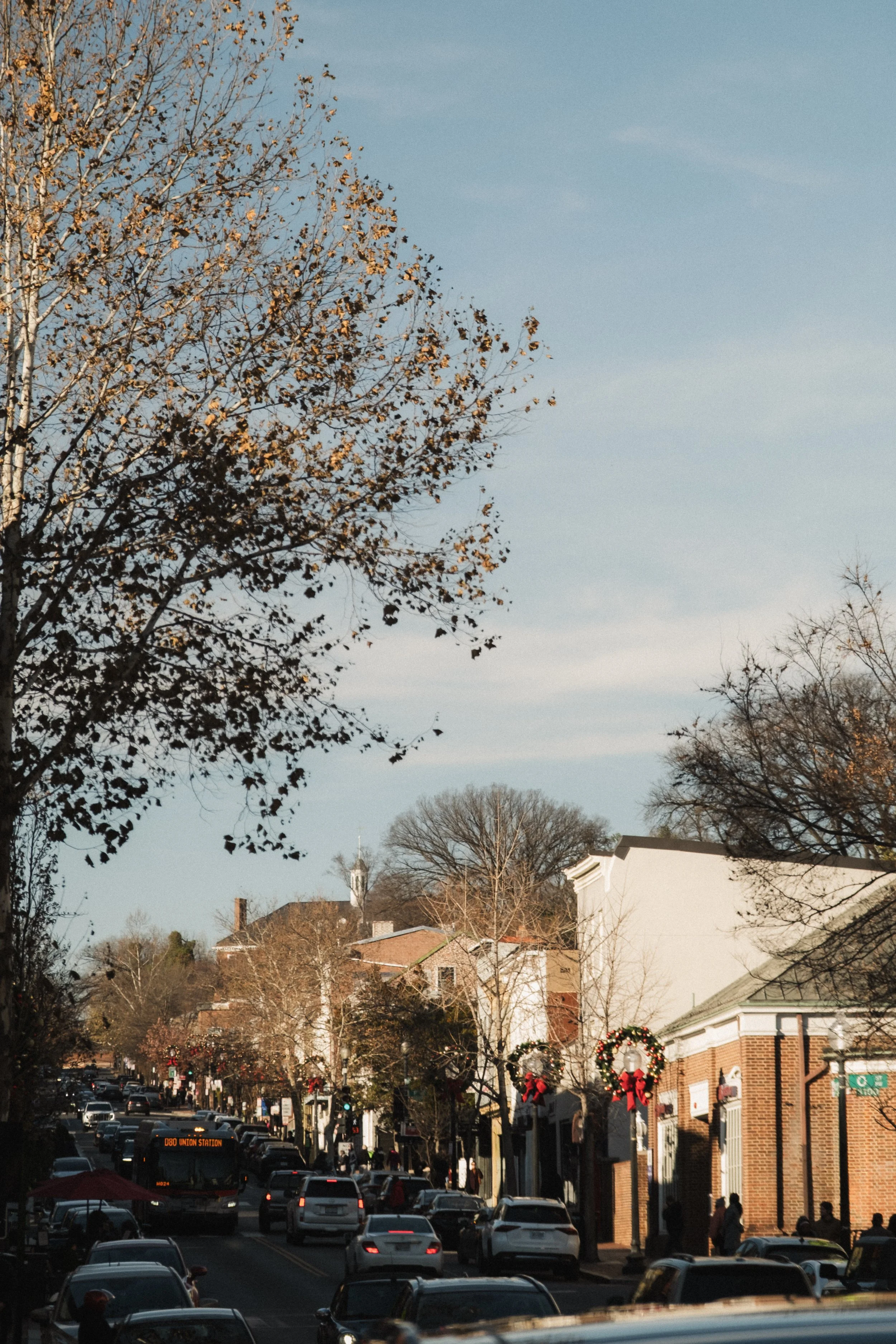 Rosewood D.C. __ Nick Buckler-048.jpg