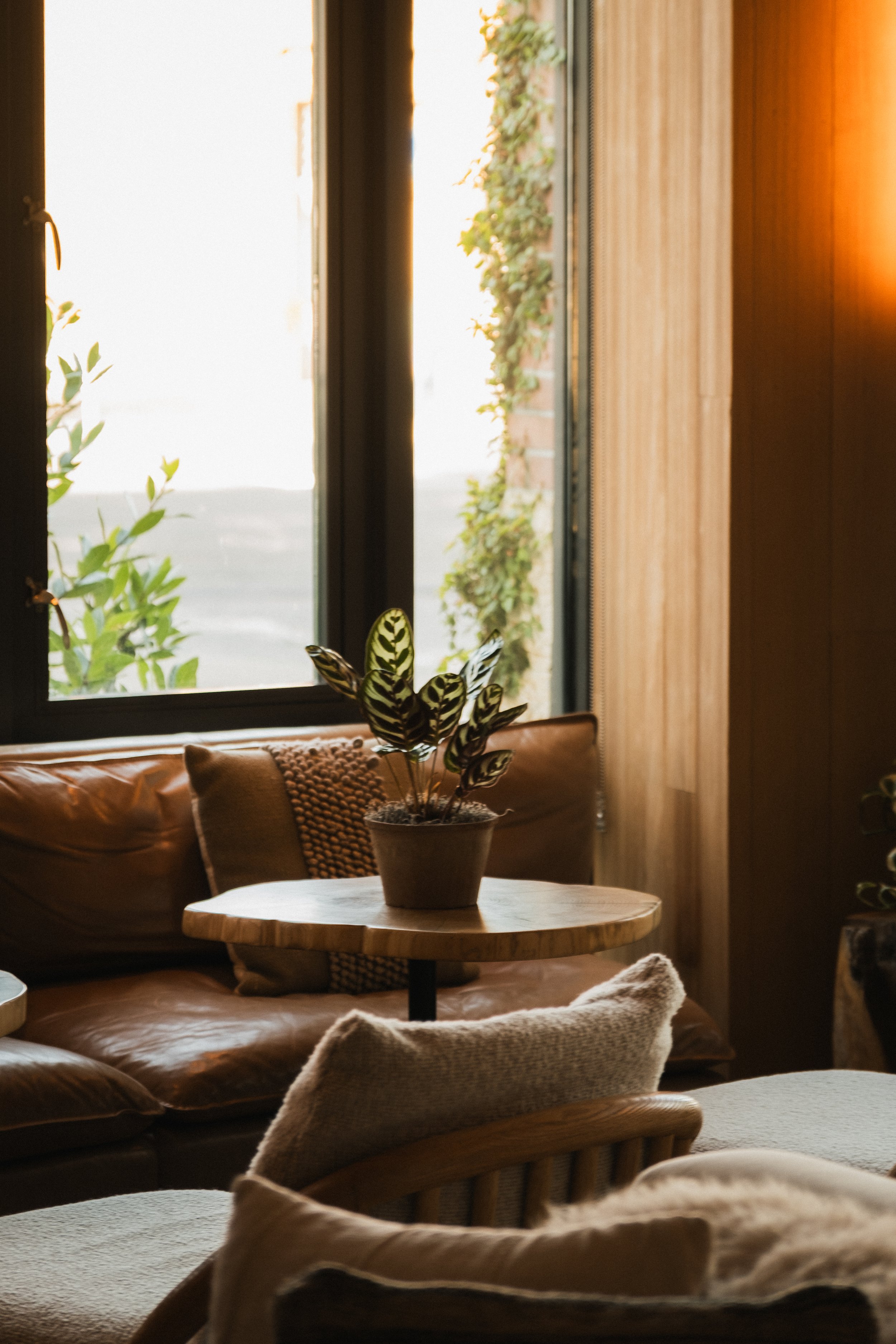 1 Hotel San Francisco __ Nick Buckler-287.jpg
