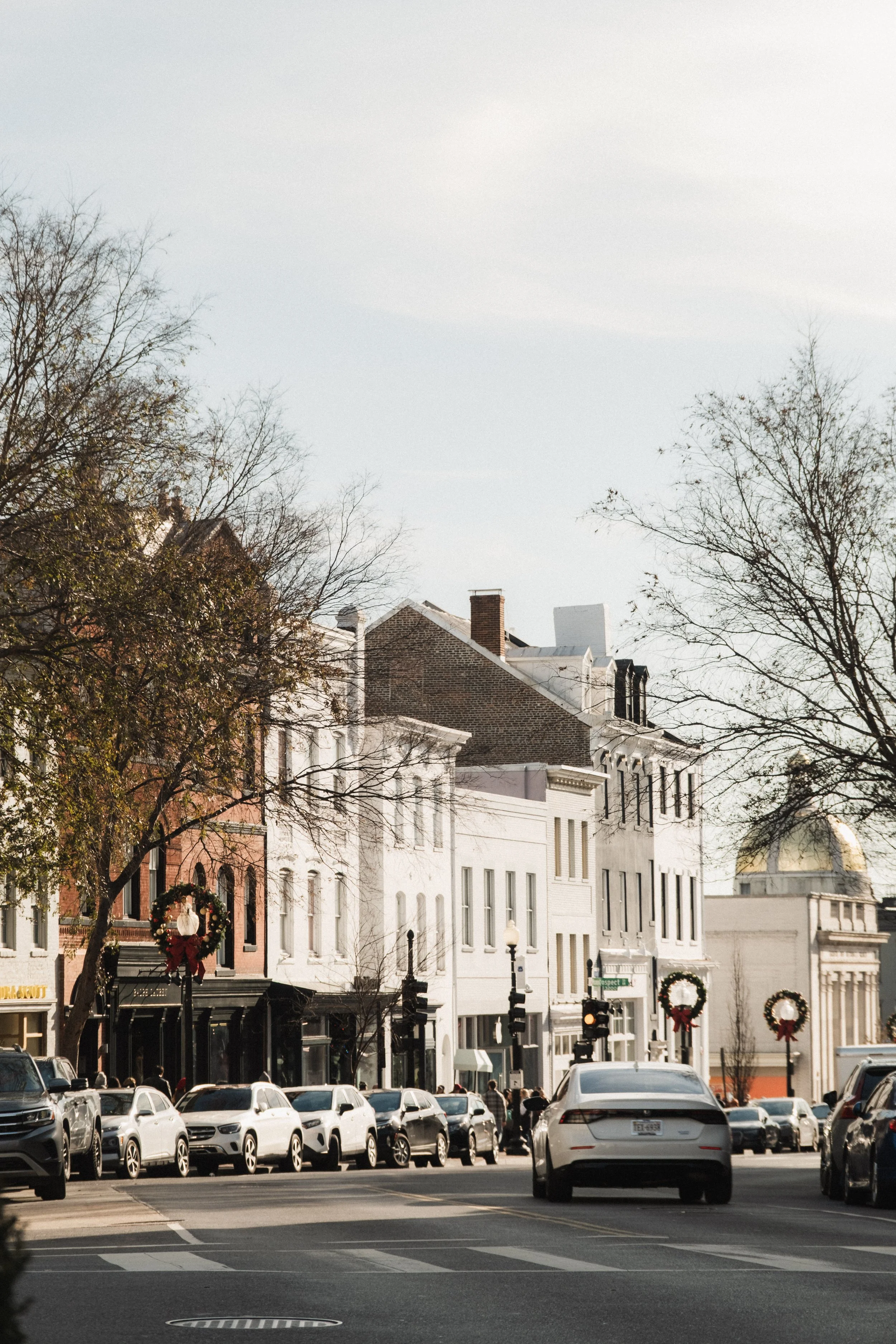 Rosewood D.C. __ Nick Buckler-029.jpg