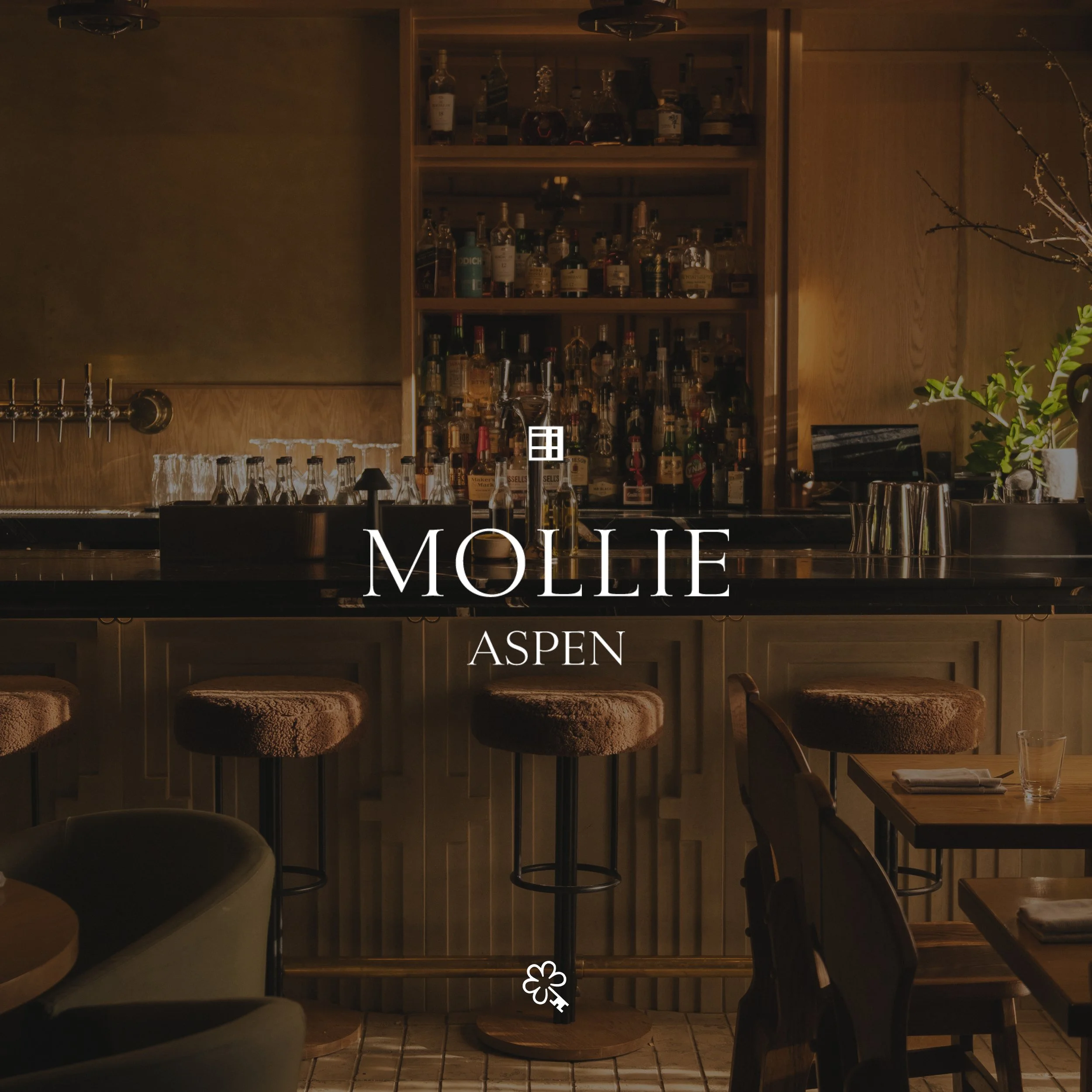 MOLLIE Aspen - Aspen, Colorado