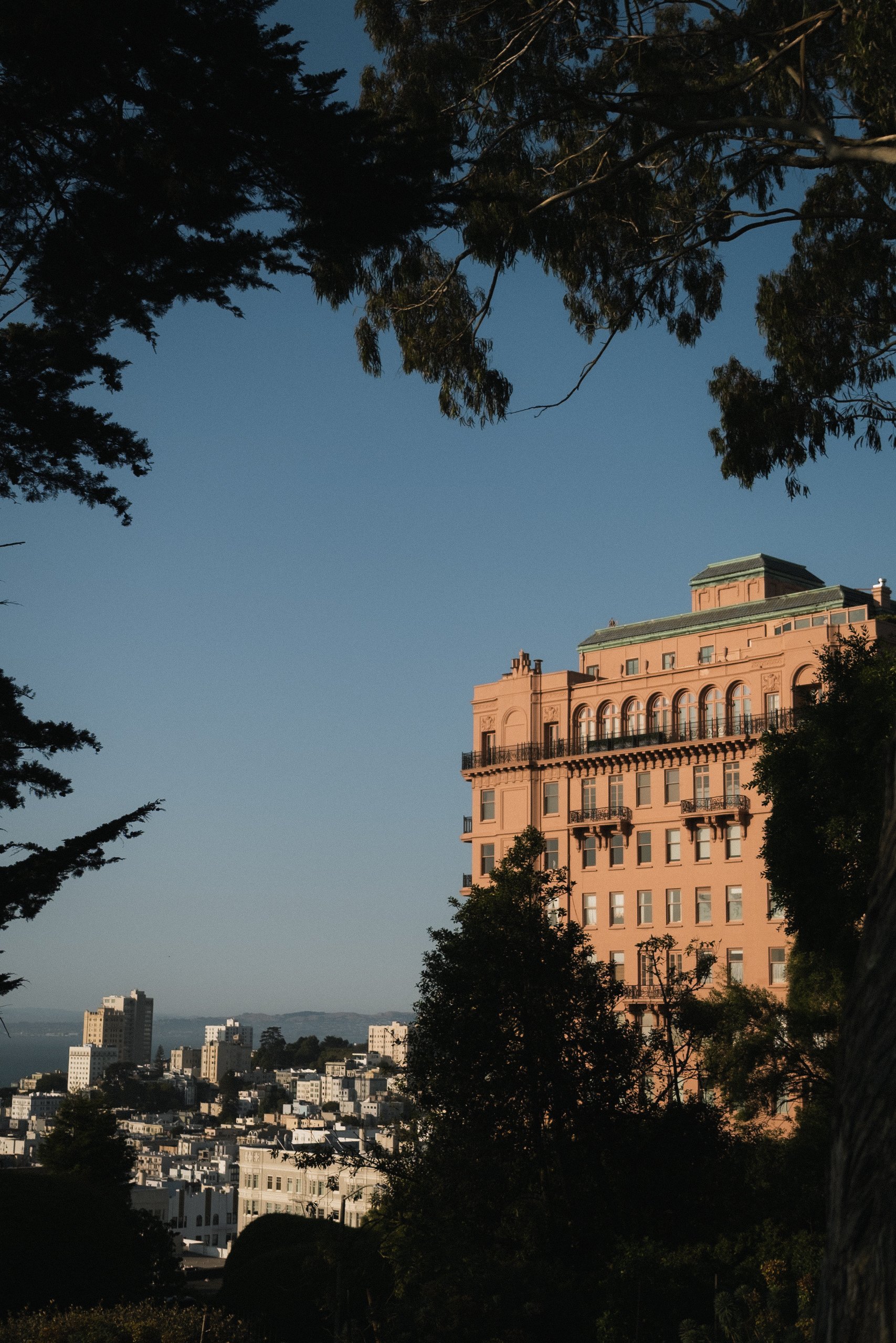 1 Hotel San Francisco __ Nick Buckler-407.jpg