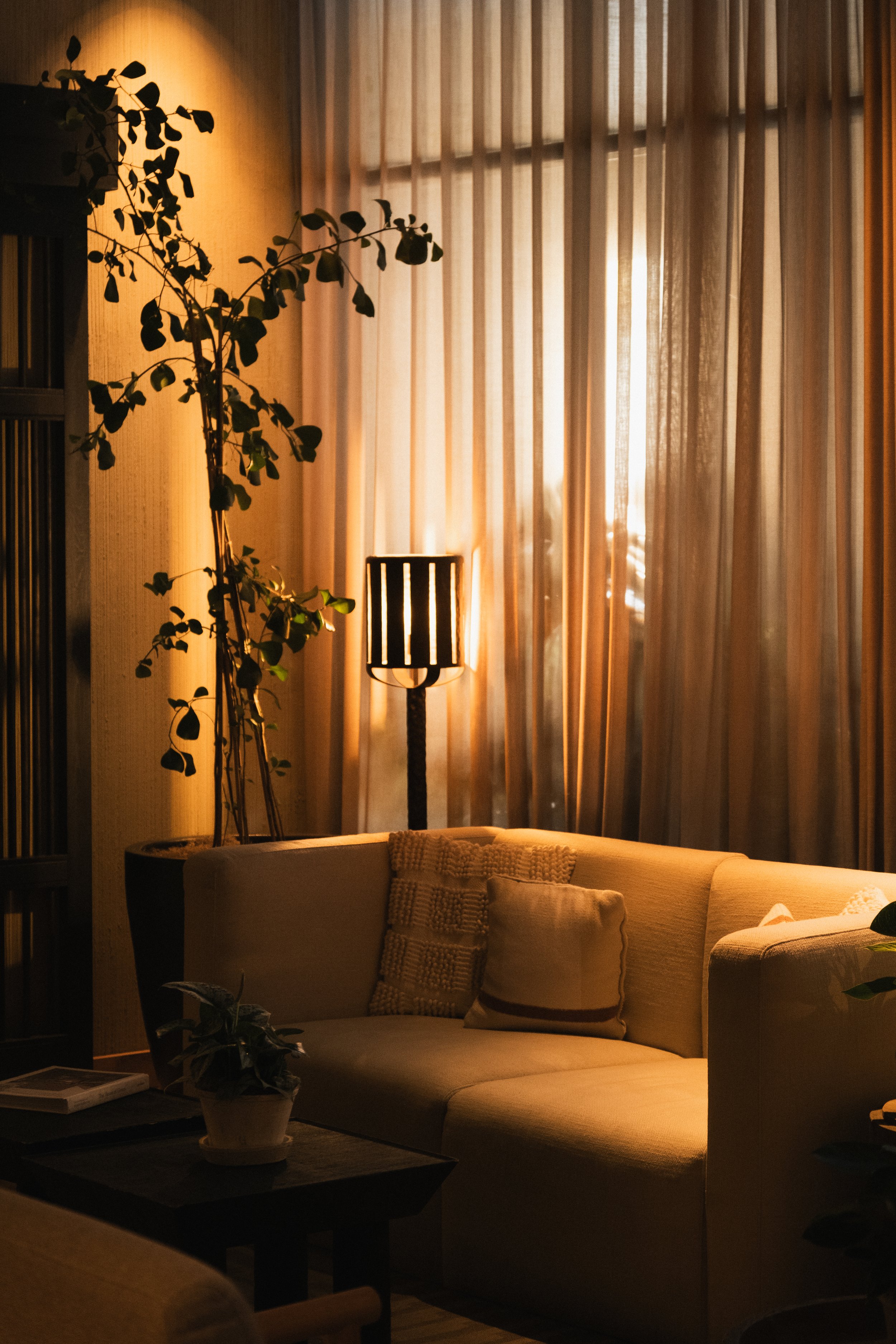 1 Hotel San Francisco __ Nick Buckler-281.jpg